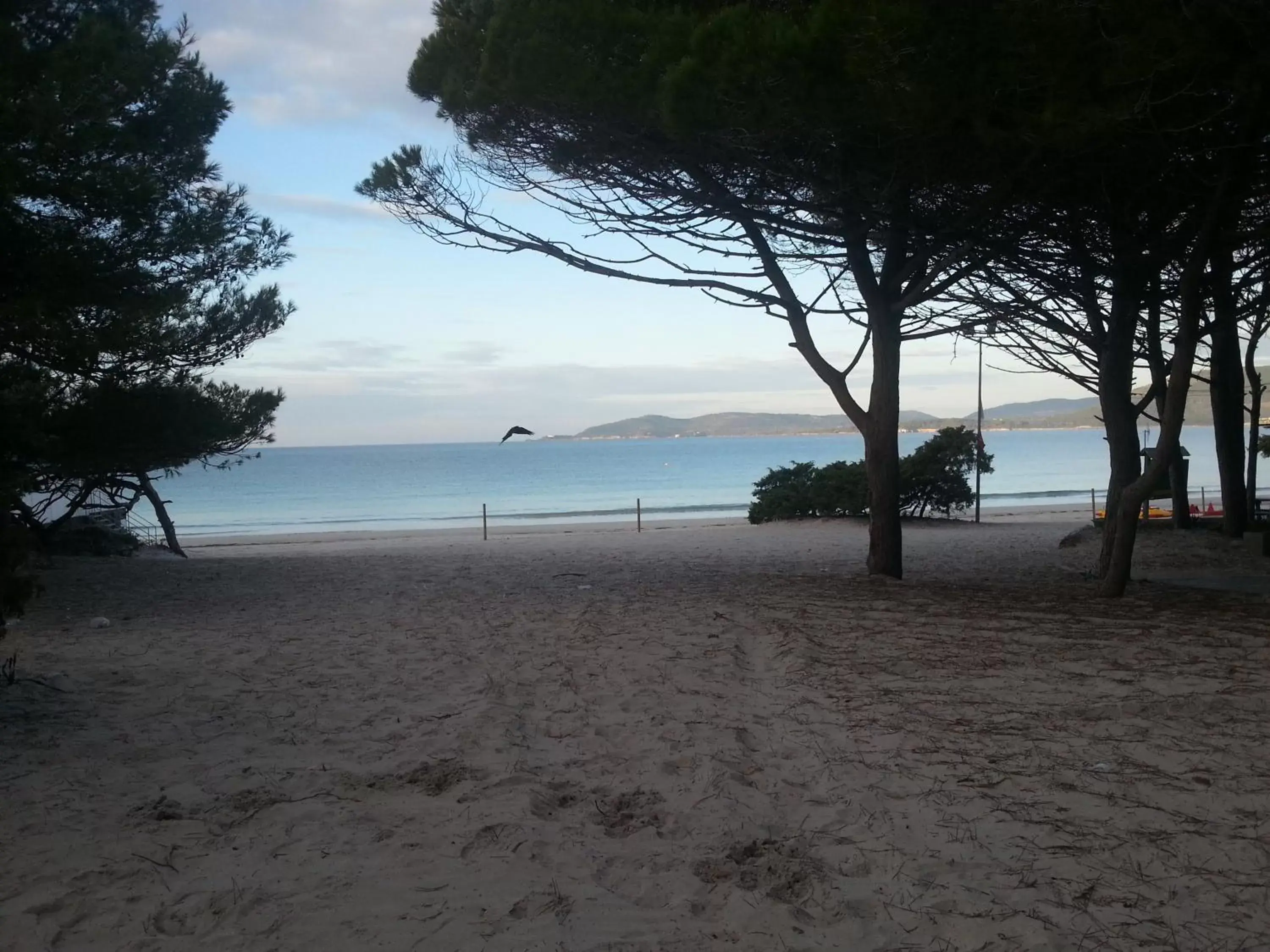 Beach in Hotel Mistral