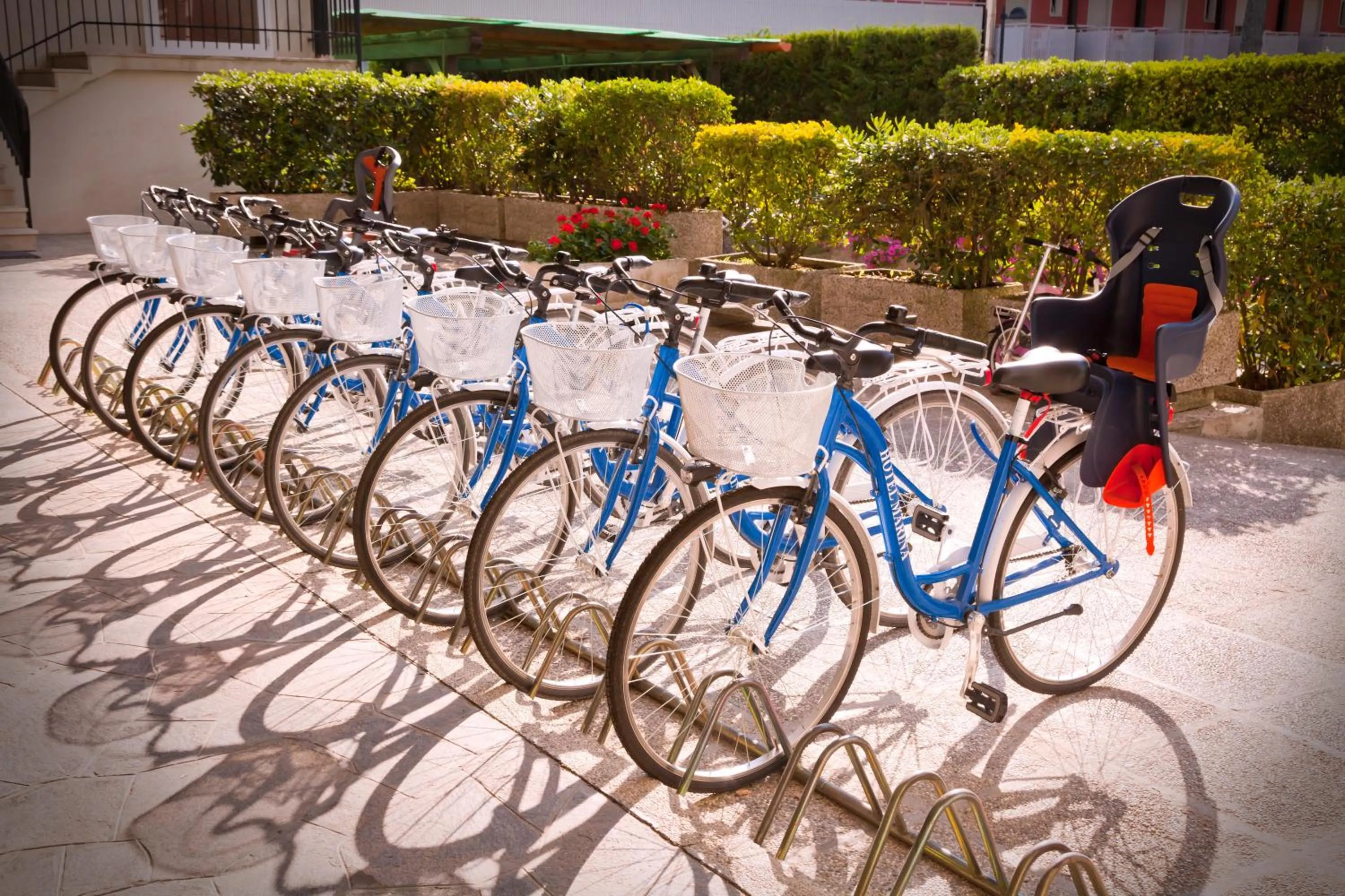 Garden in Marina Palace Hotel 4 stelle S