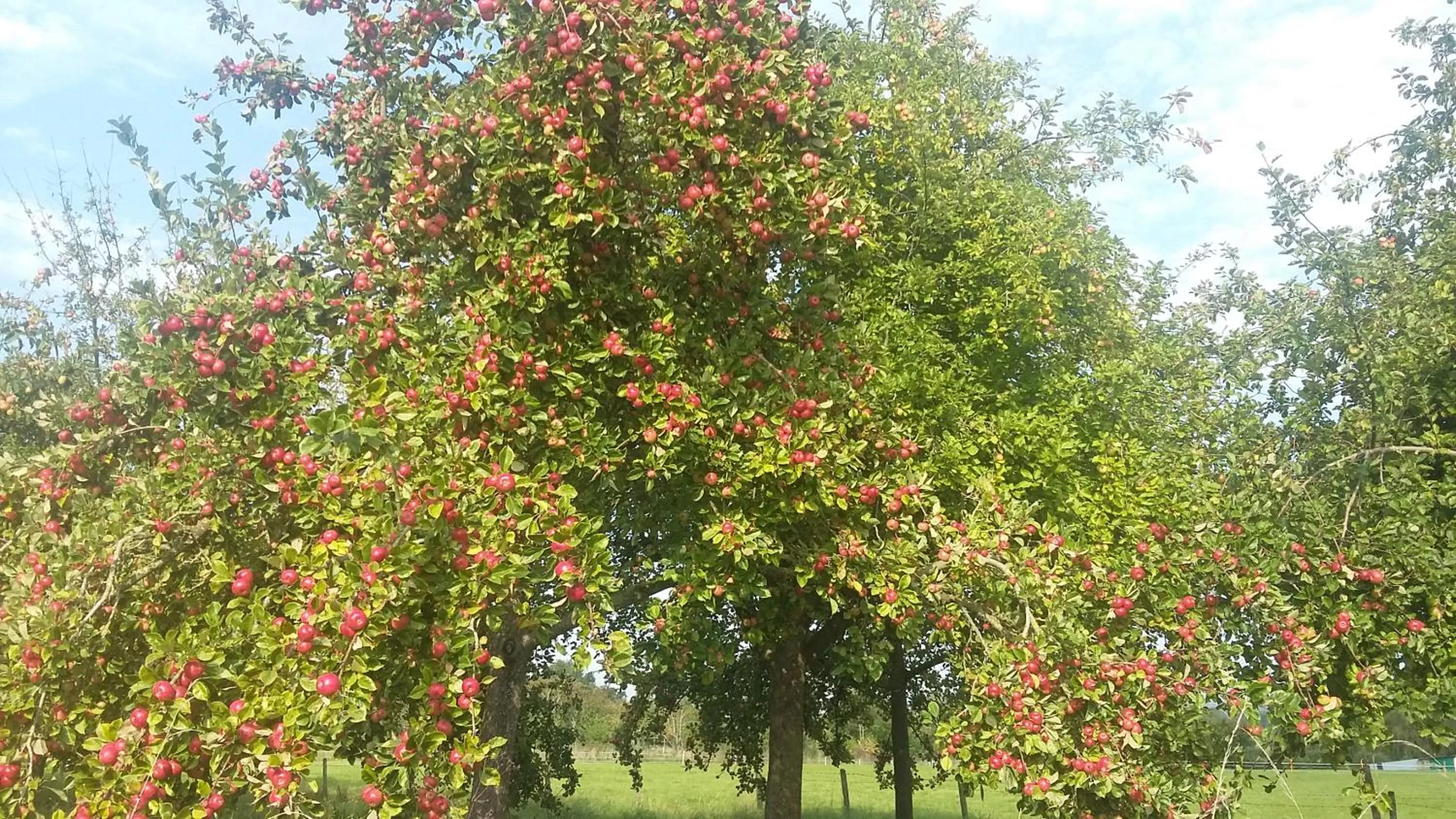 Area and facilities in AROHA