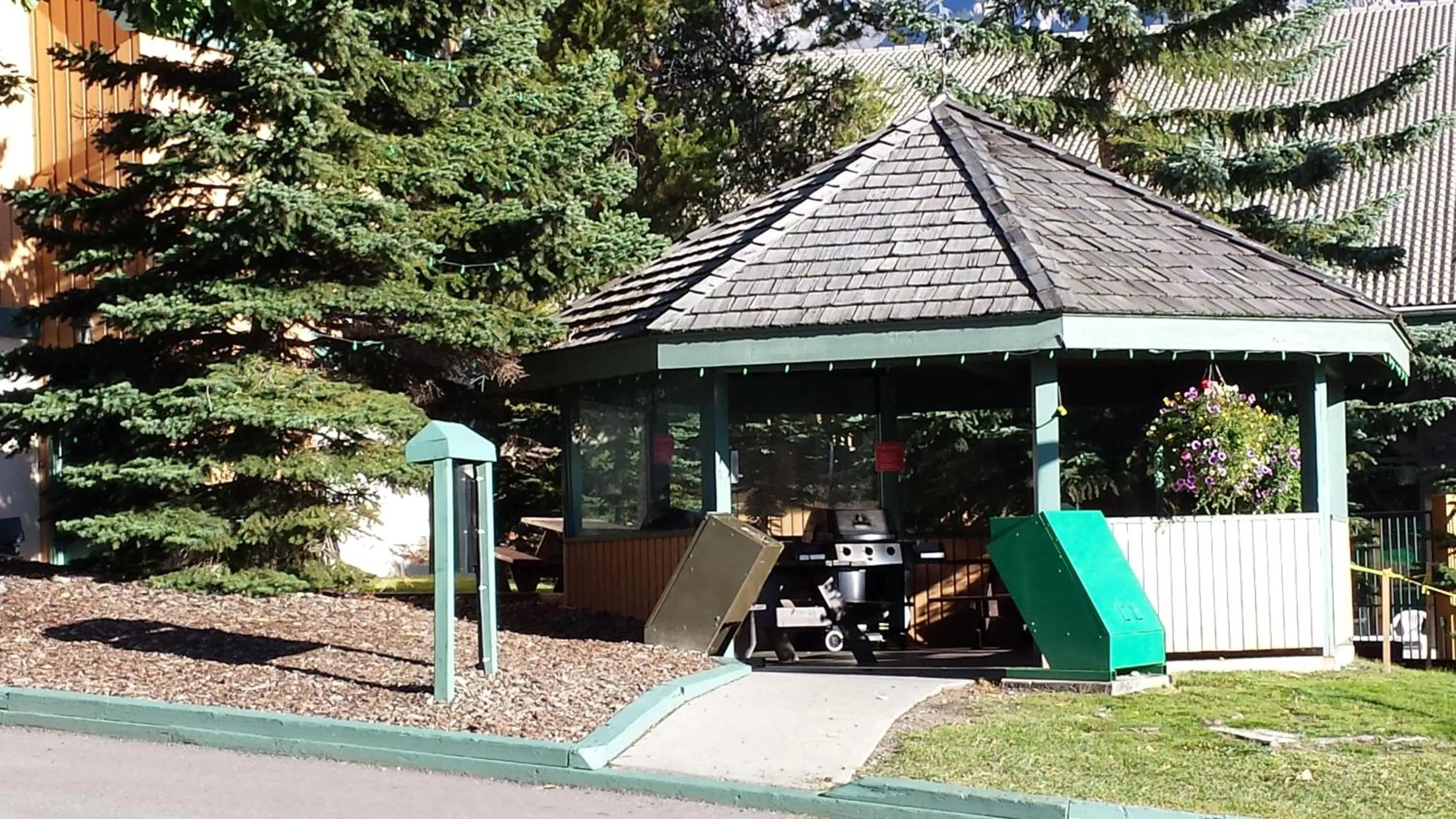 Area and facilities in Douglas Fir Resort & Chalets