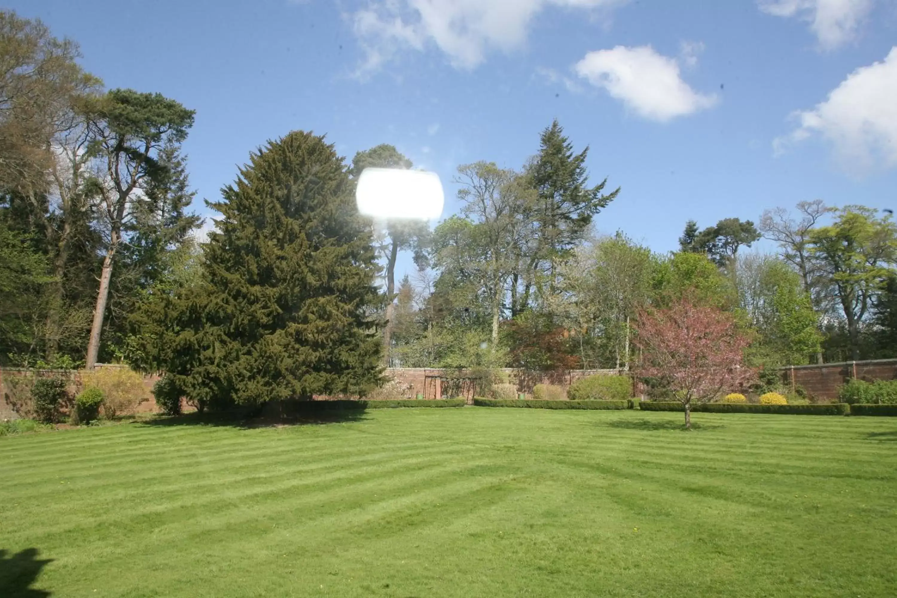 Garden view, Garden in Kirklands House