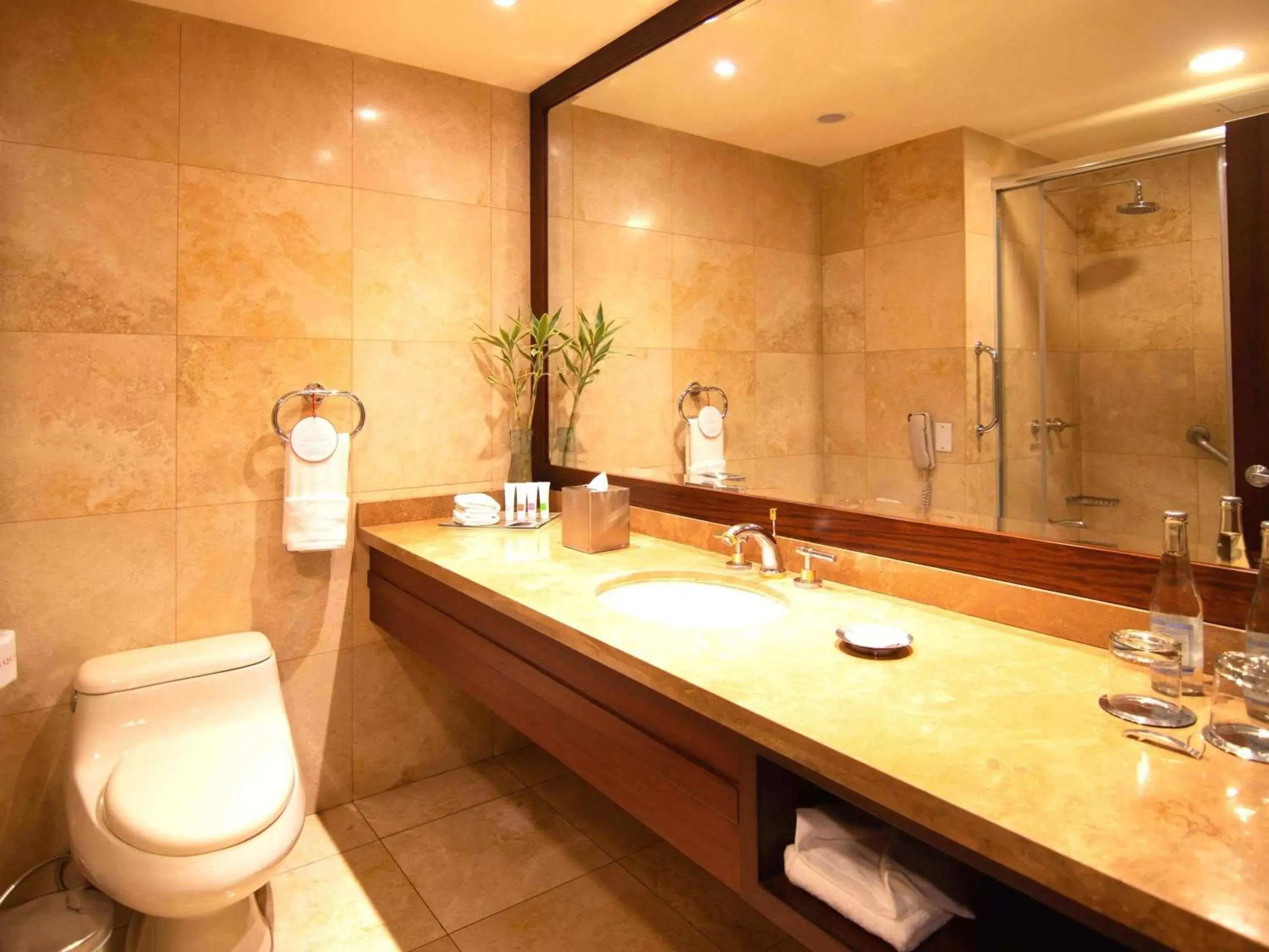 Bathroom in Swissotel Quito