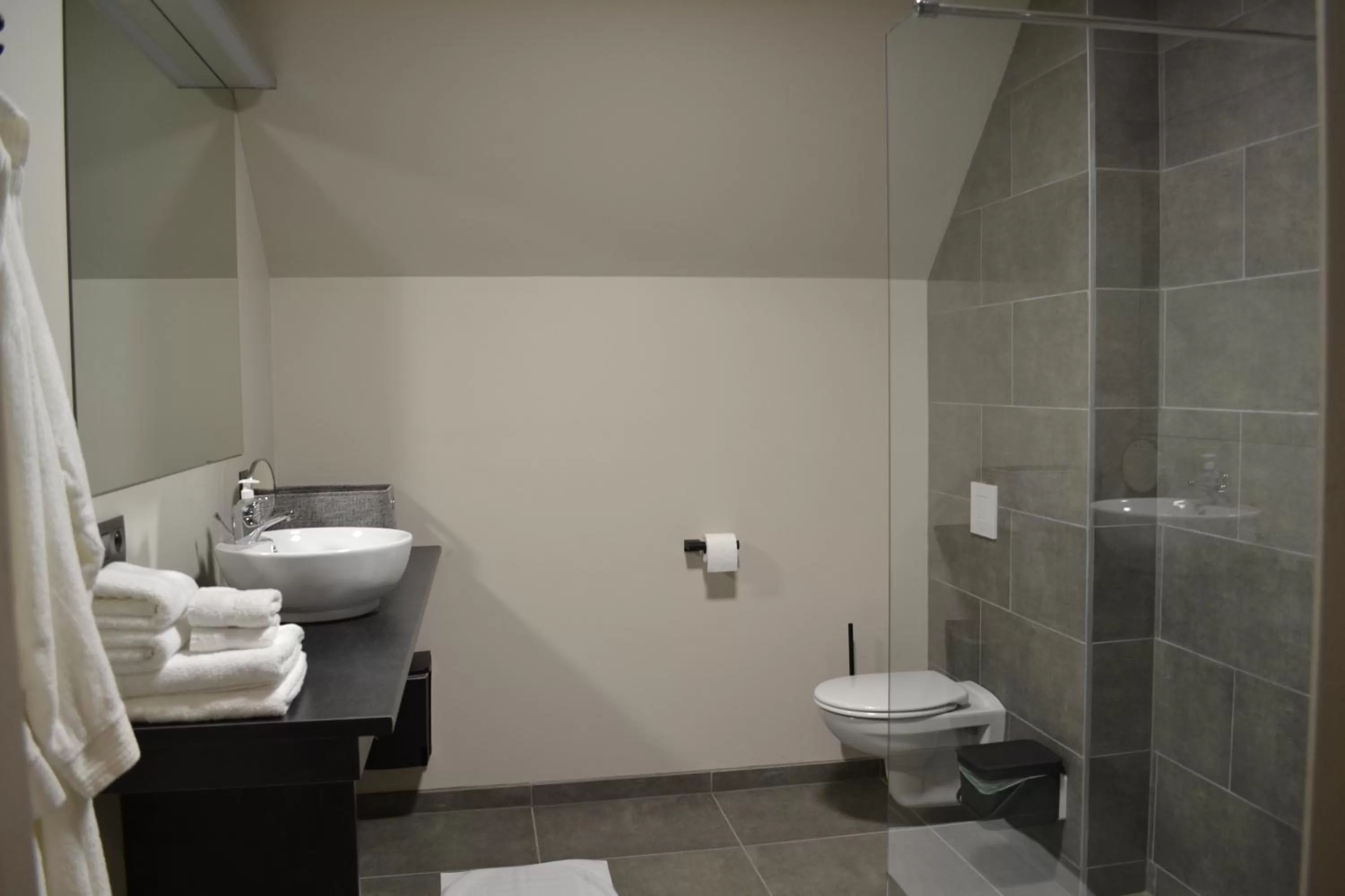 Bathroom in B&B Allegambe's Goed