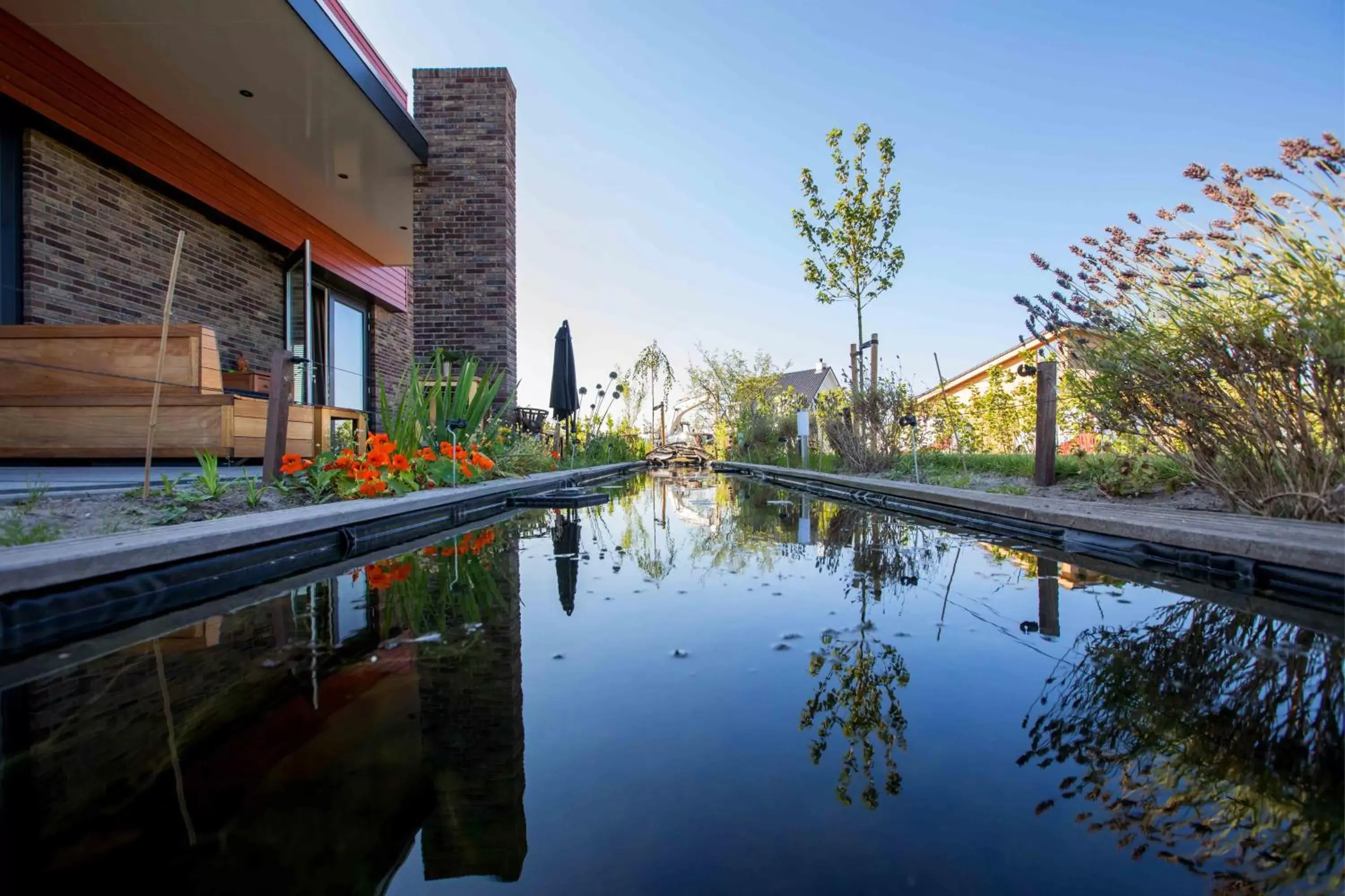 Swimming Pool in Amsterdam Area Residence Oosterwold