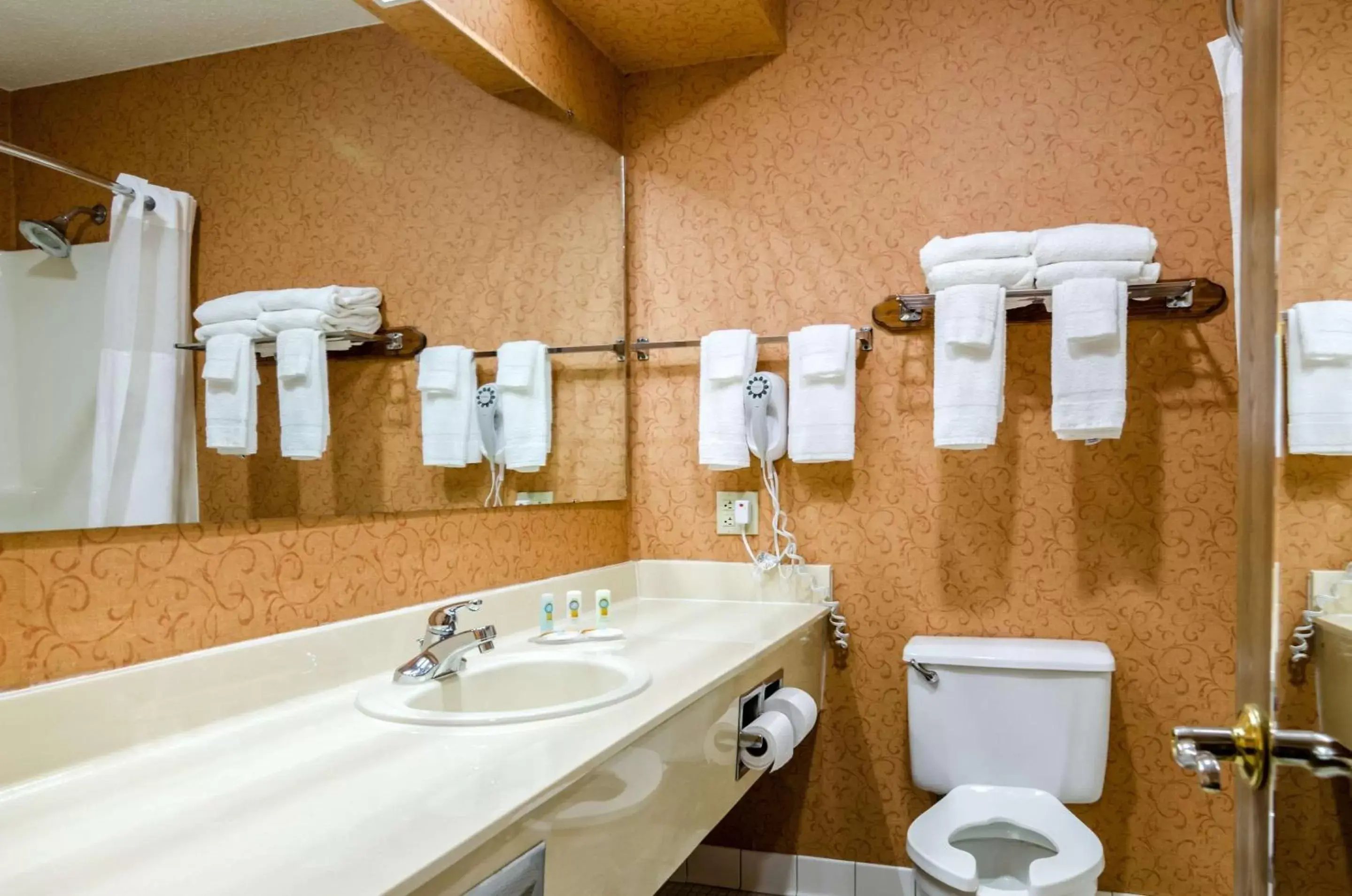 Bathroom in Quality Inn Eureka Springs South