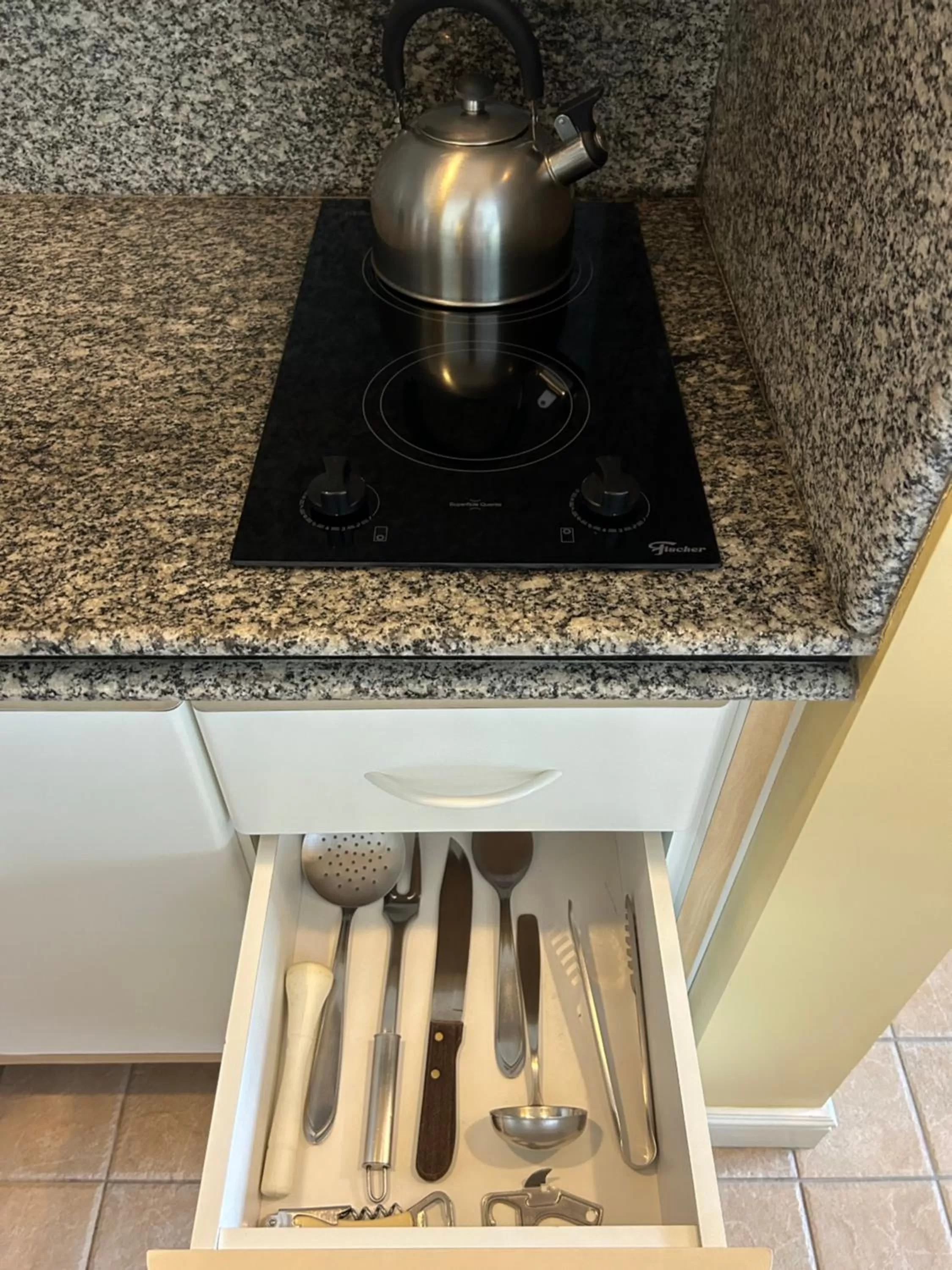 Kitchen or kitchenette in Golfinhos Apart Hotel