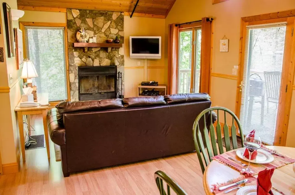 Living room in Asheville Cabins of Willow Winds