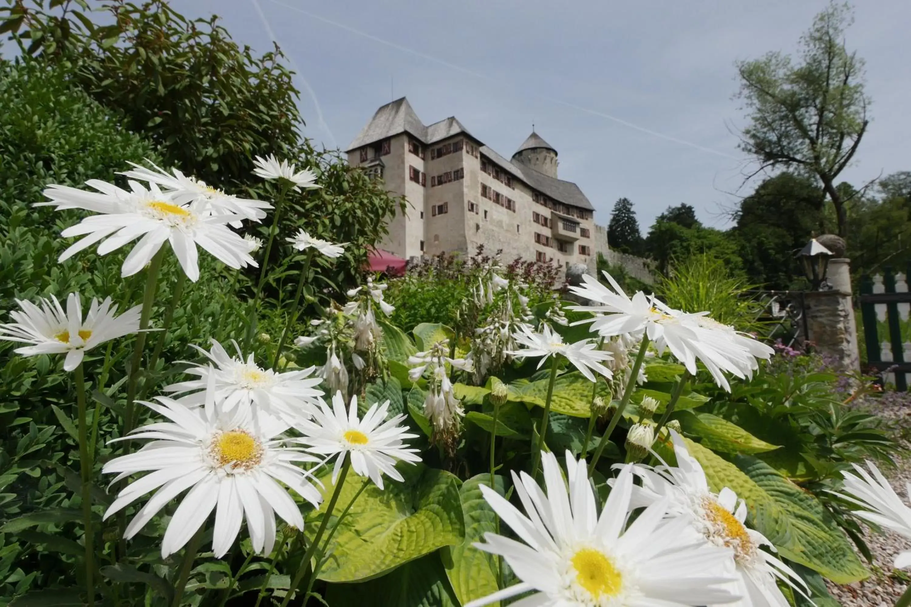 Property Building in Schloss Matzen