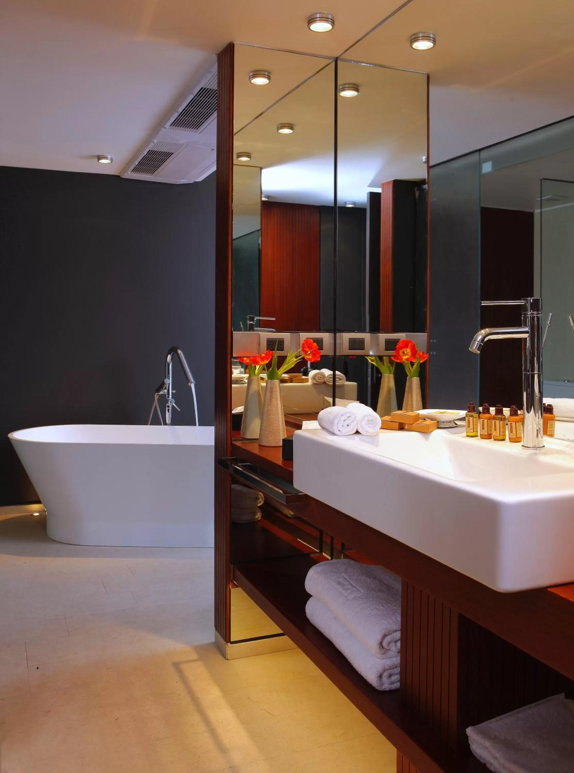 Shower in Hotel Ismael