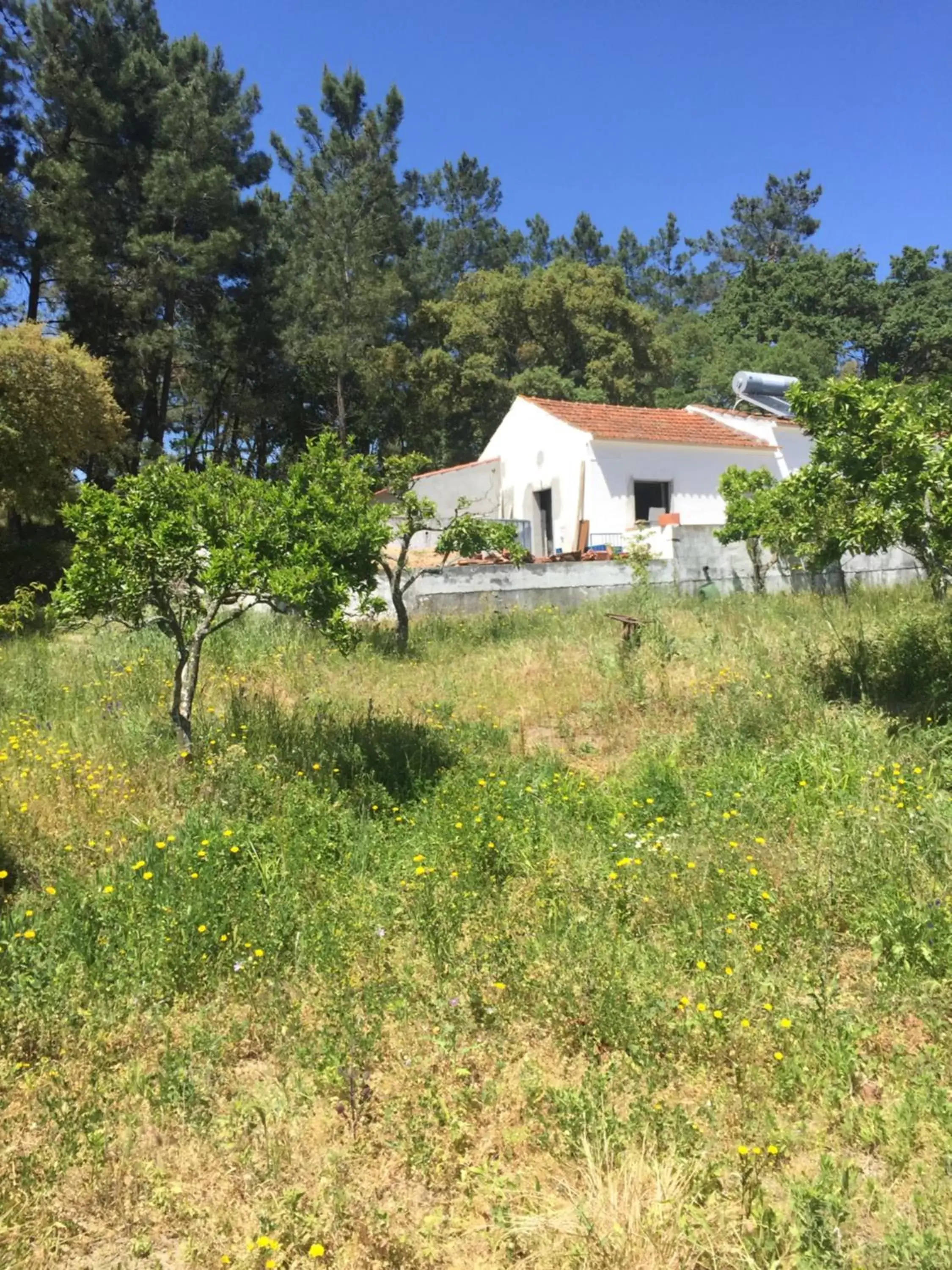 Property Building in Casa do Loureiro Branco