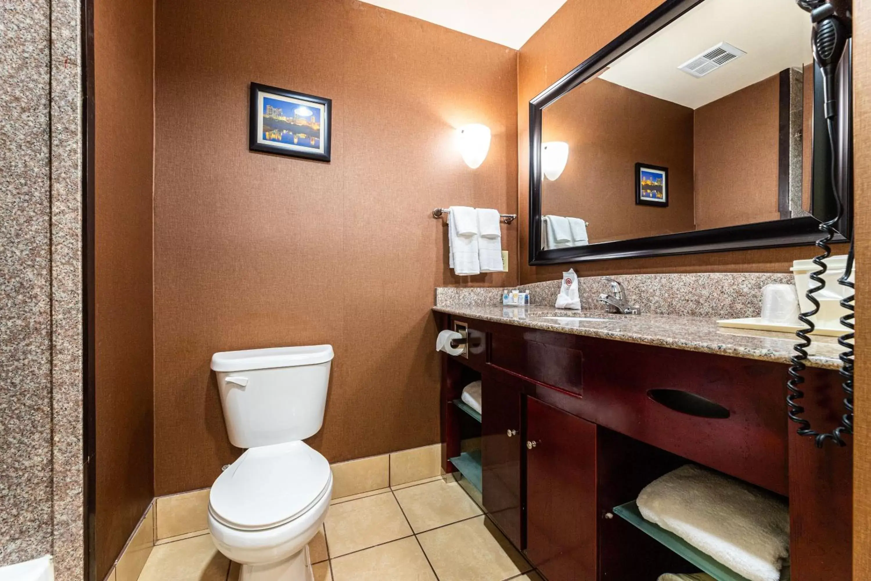 Bathroom in Comfort Suites - Lake Worth