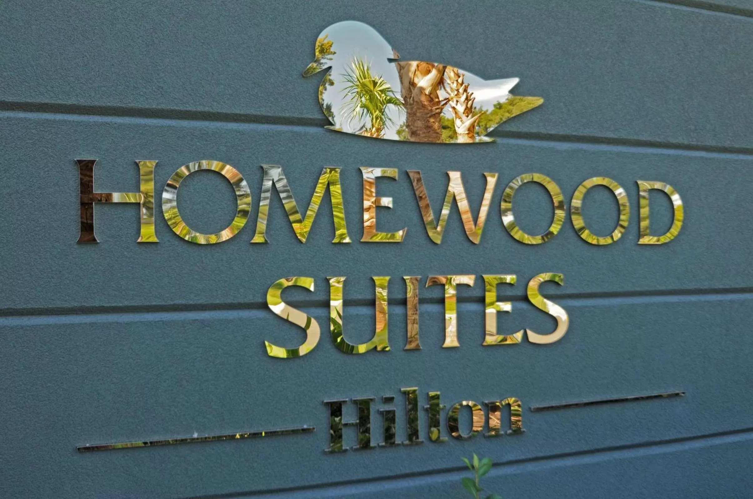 Property building in Homewood Suites by Hilton Tampa-Port Richey