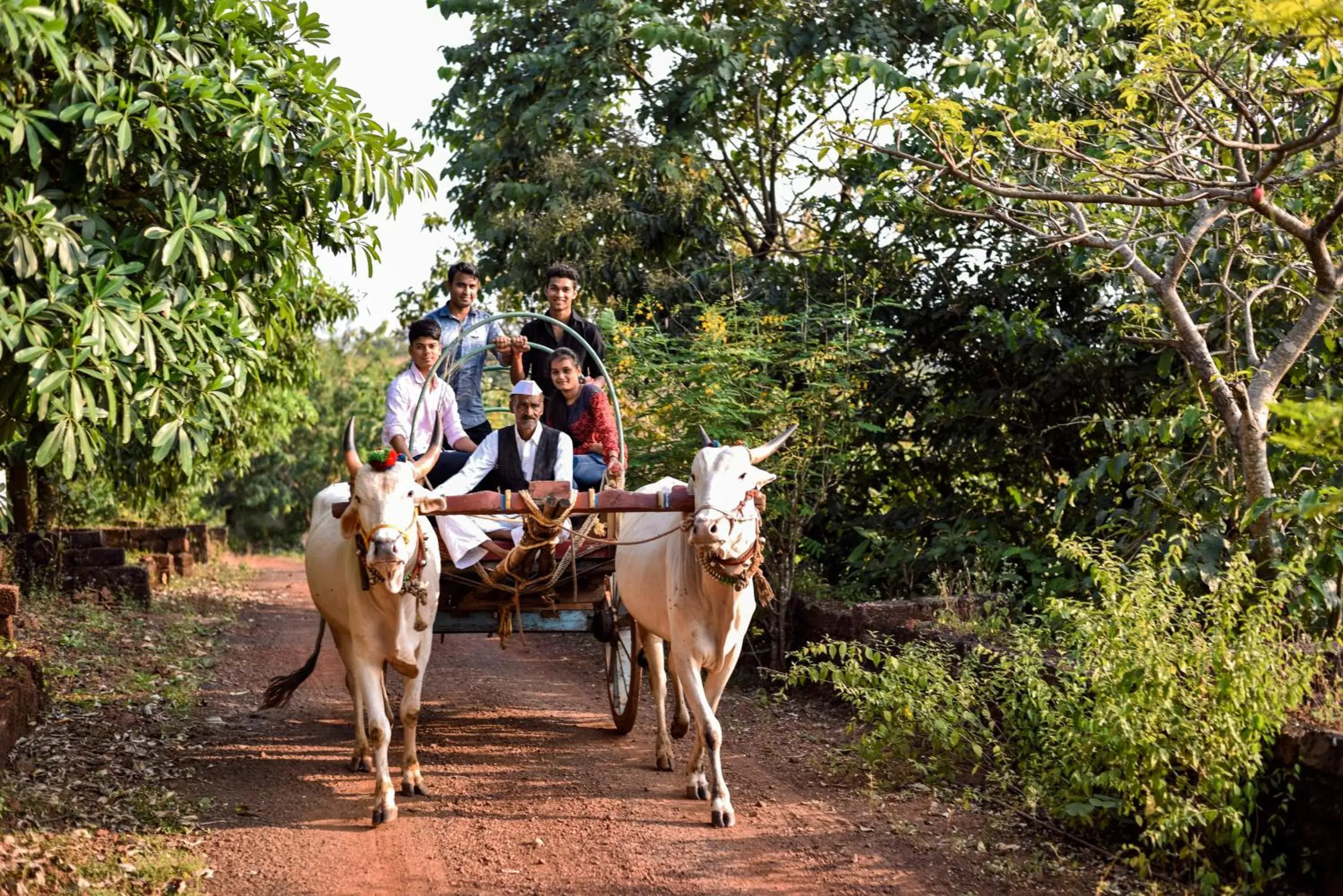 Activities, Horseback Riding in The Fern Samali Resort