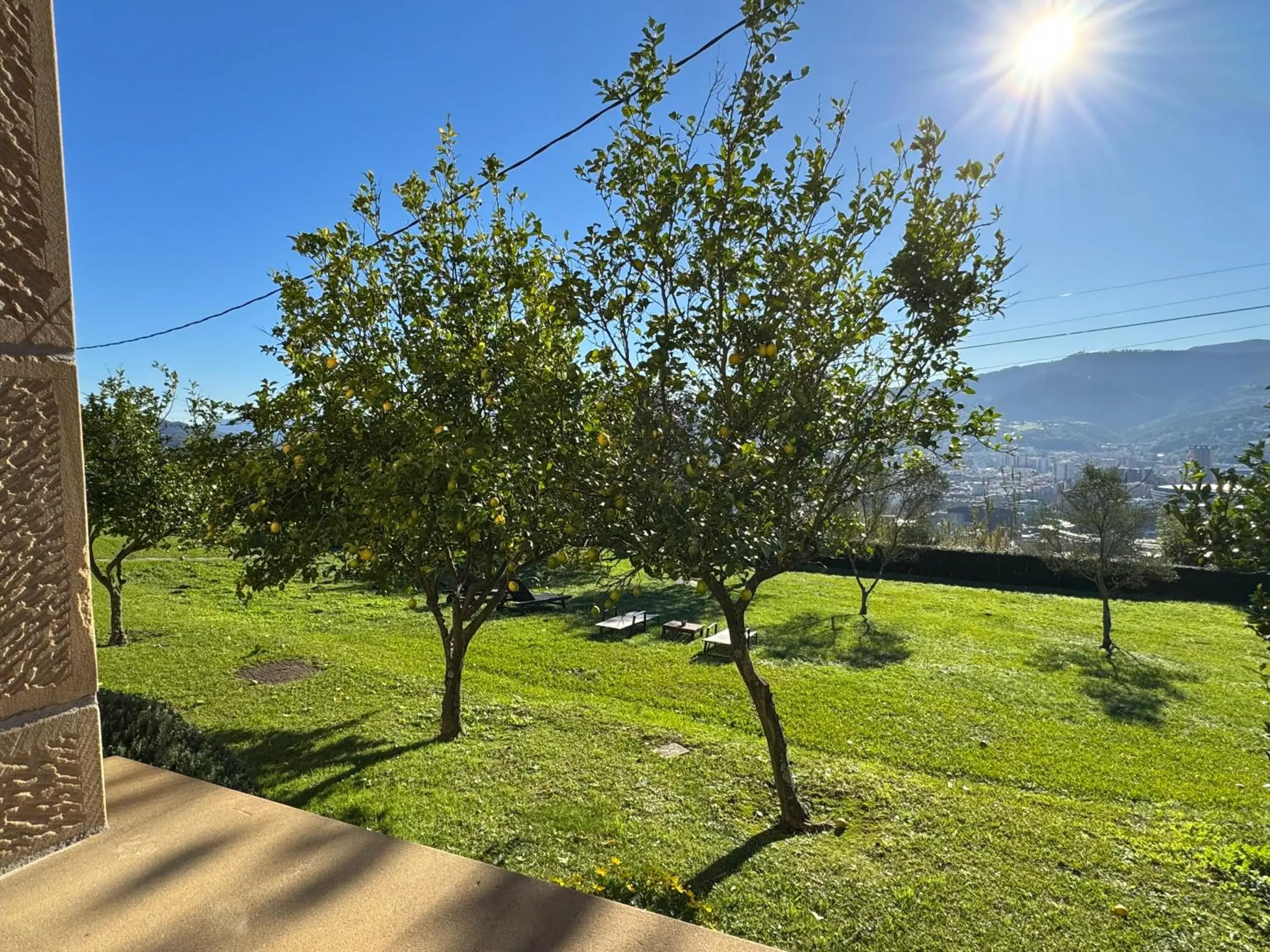 Garden in Hotel Artetxe