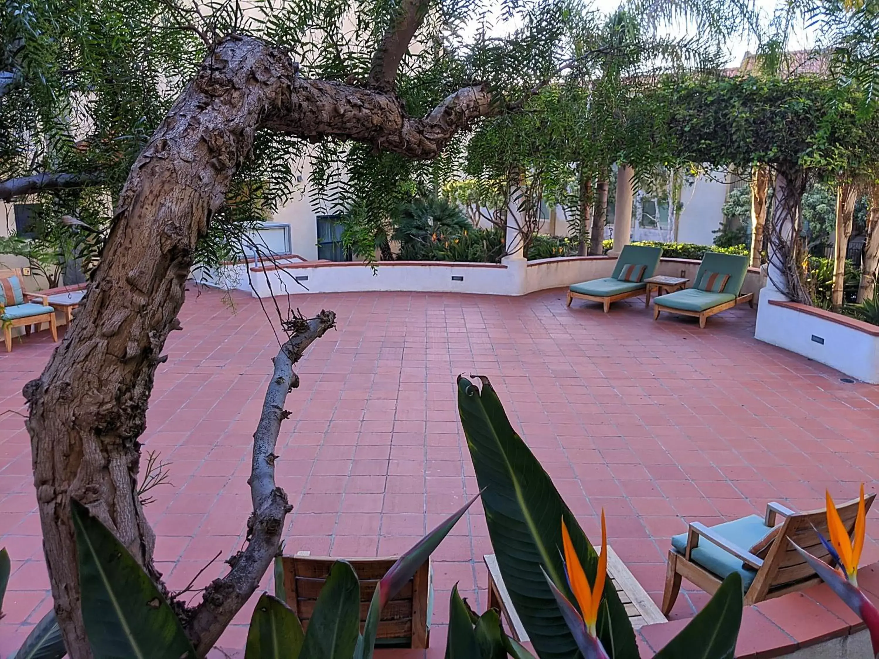 Garden, Swimming Pool in Grande Colonial La Jolla