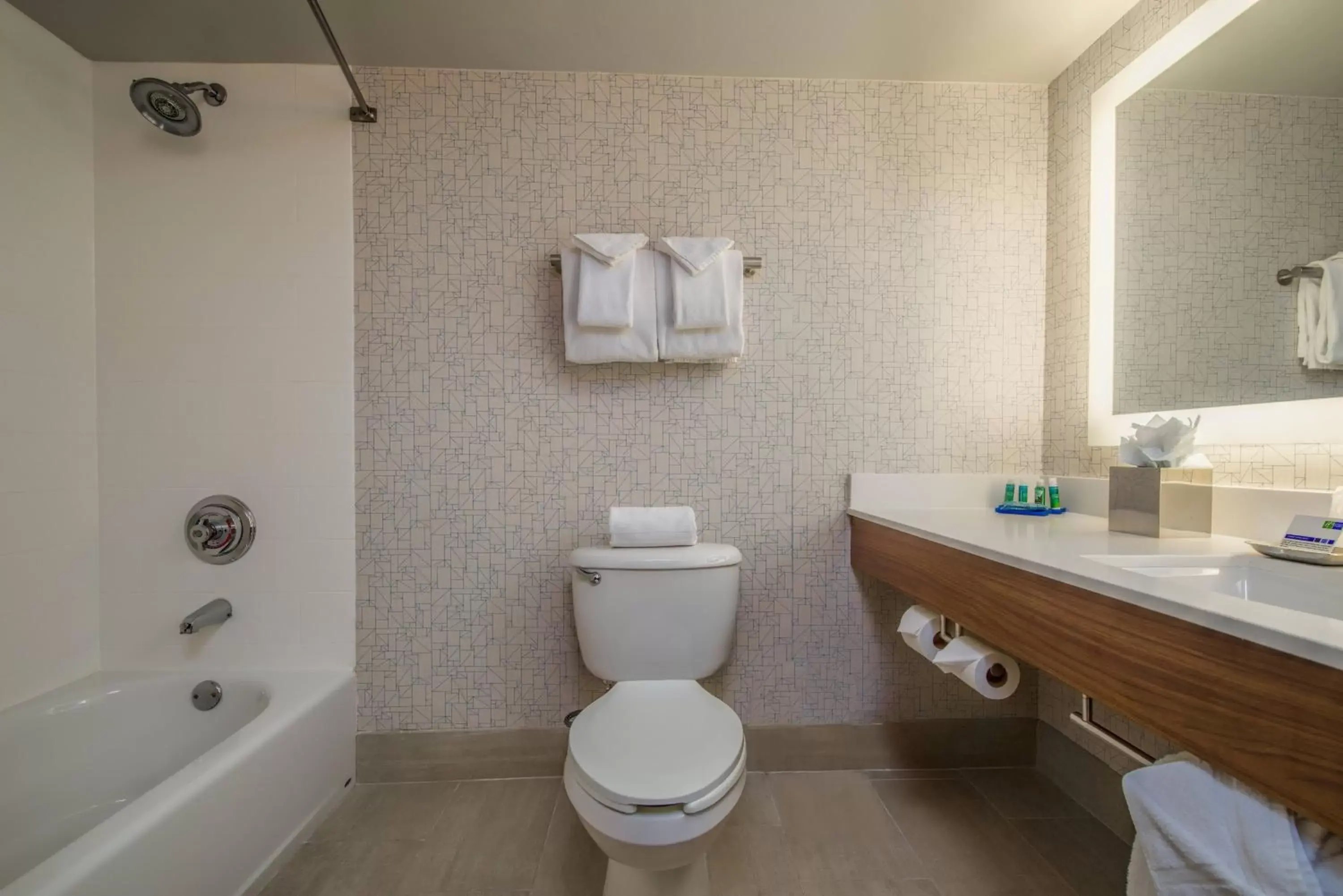 Bathroom in Holiday Inn Express Phoenix-Airport/University Drive, an IHG Hotel