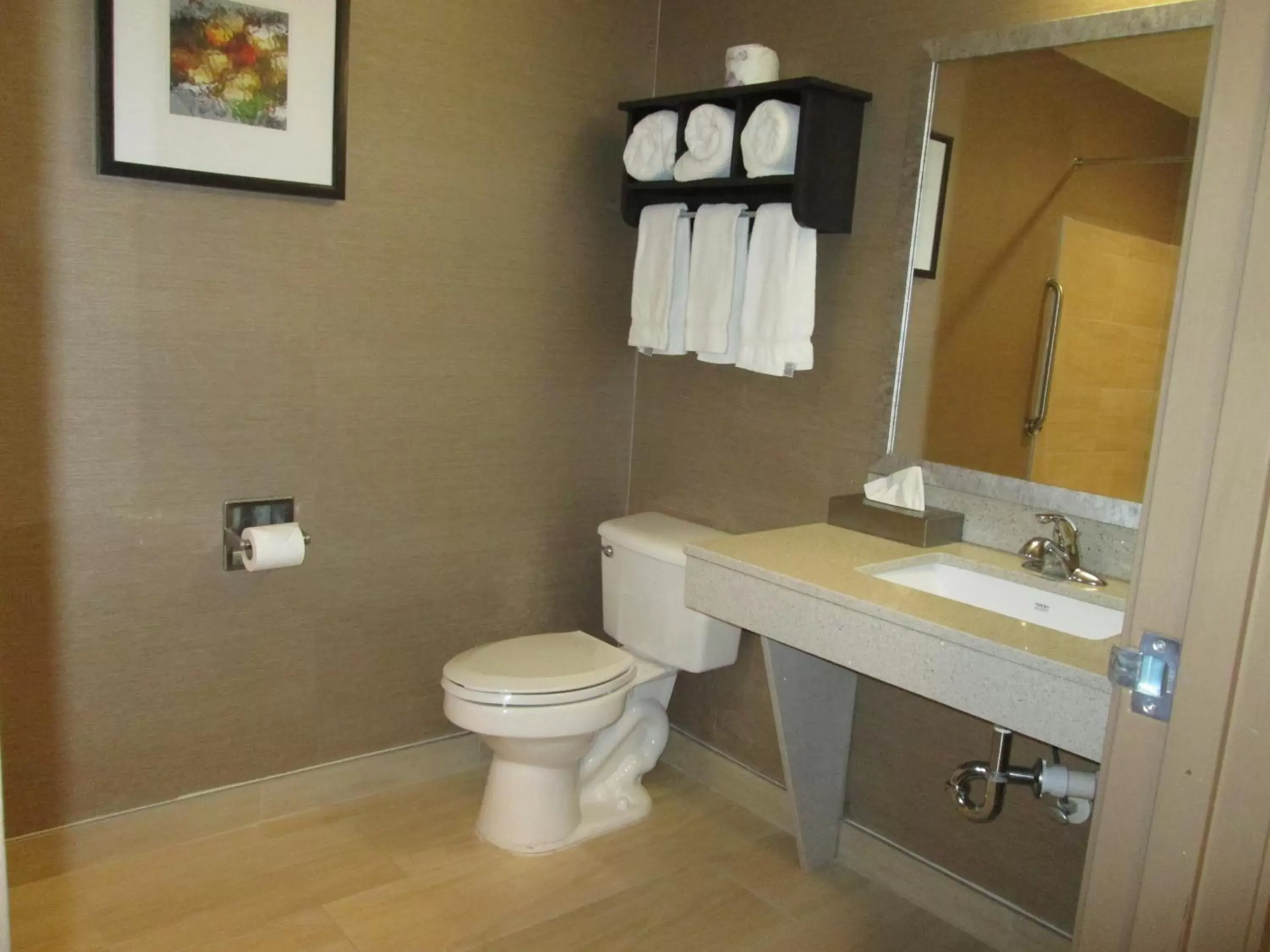 Photo of the whole room, Bathroom in Holiday Inn Express Cloverdale - Greencastle, an IHG Hotel