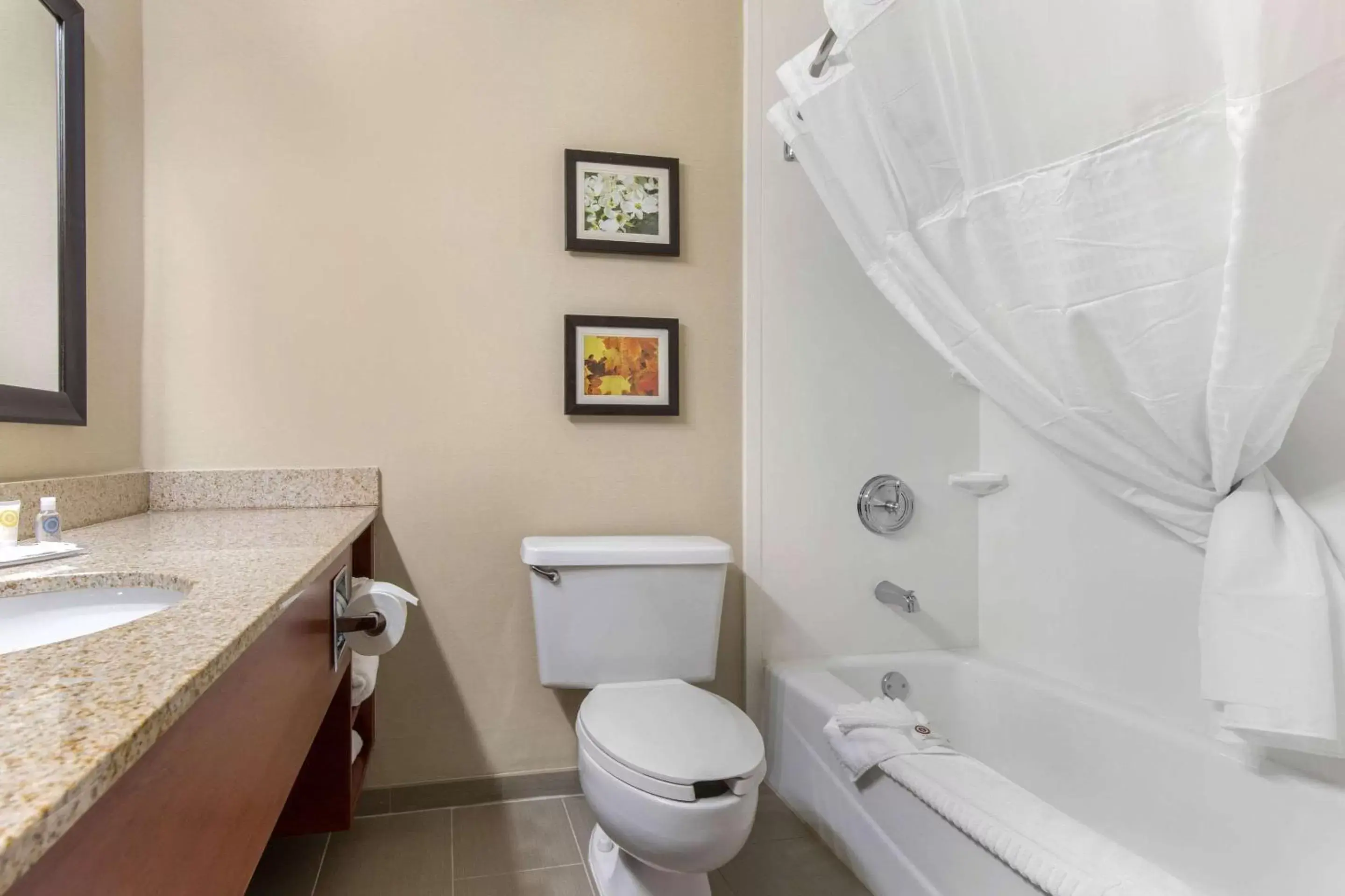 Bathroom in Comfort Inn