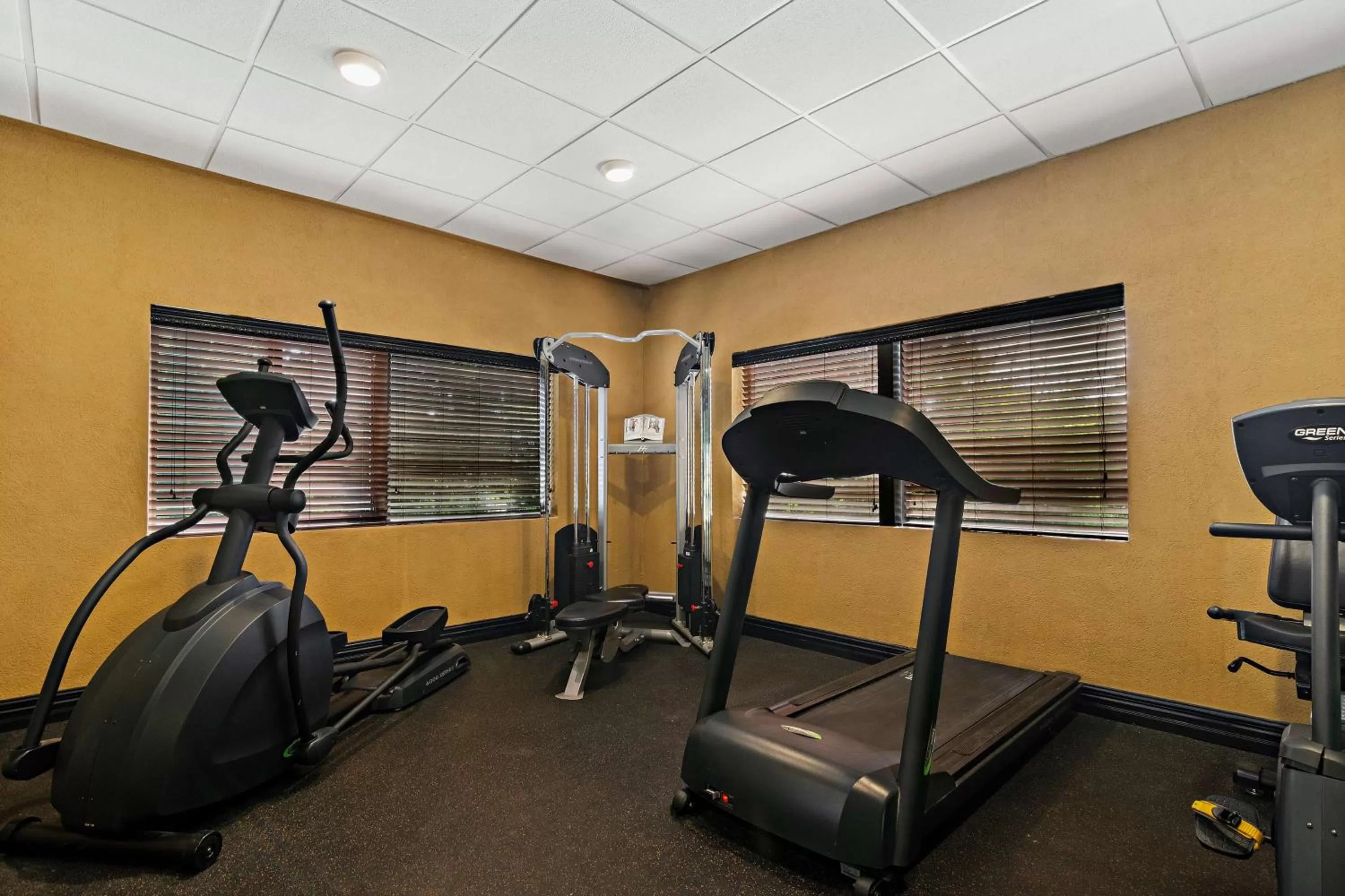 Fitness centre/facilities in Best Western Windsor Suites