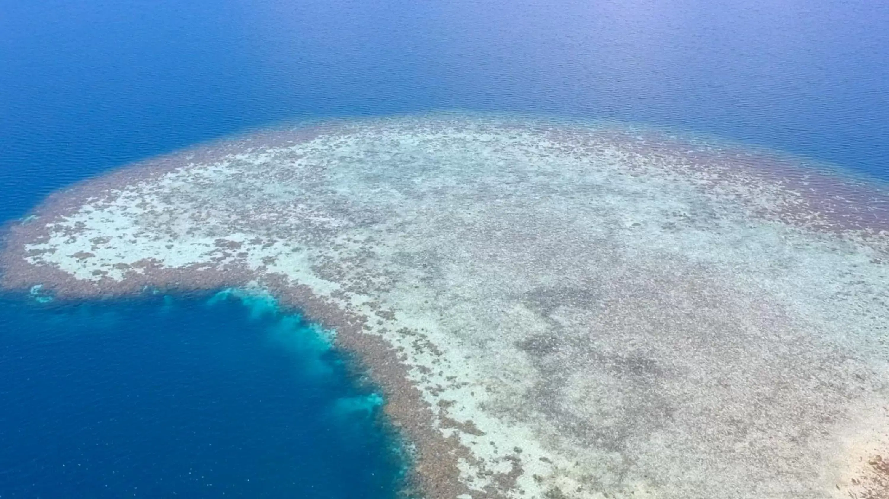 Nearby landmark, Bird's-eye View in Chindonan Dive Resort