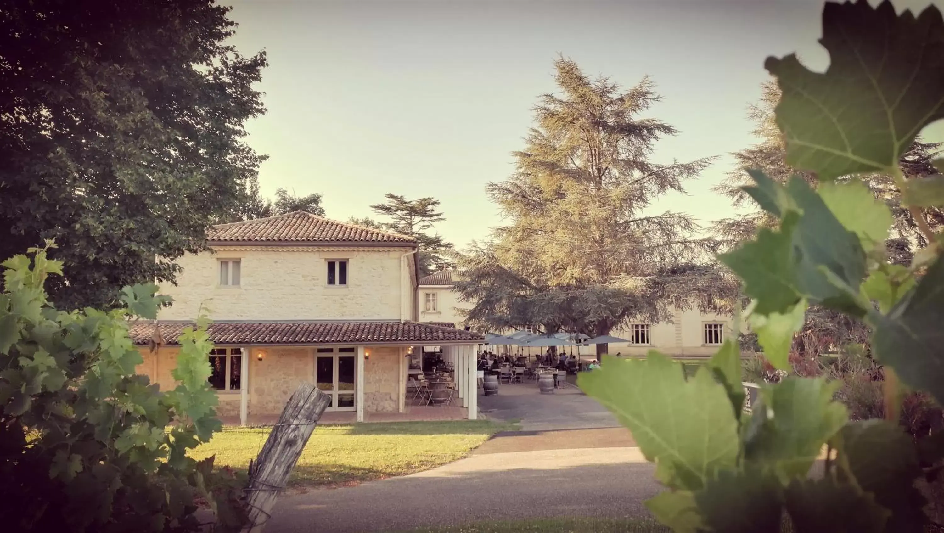 Meals, Property Building in Les Secrets Château Pey La Tour - Groupe LOGIS HOTELS