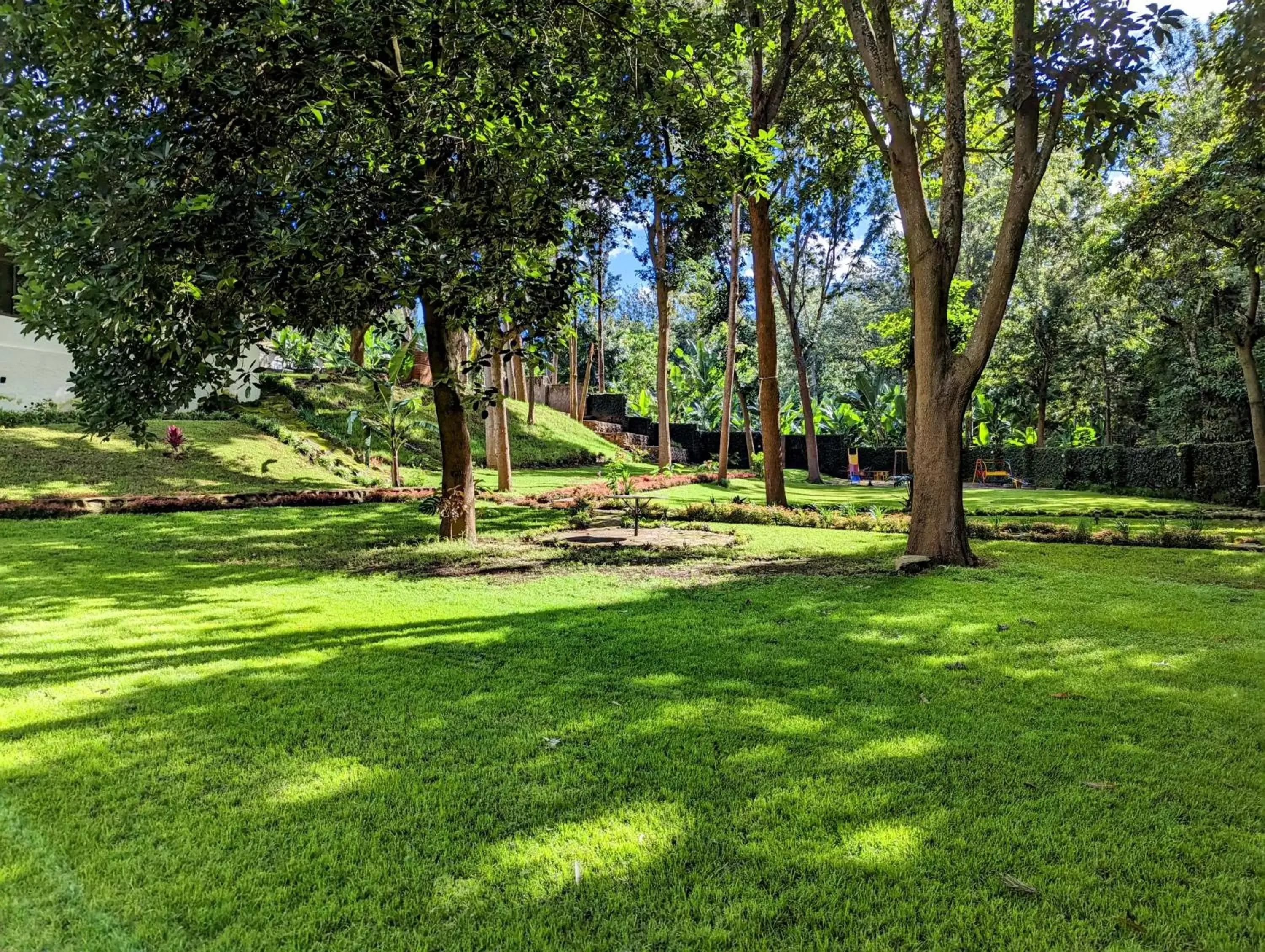 Spring, Garden in Mvuli Hotels Arusha