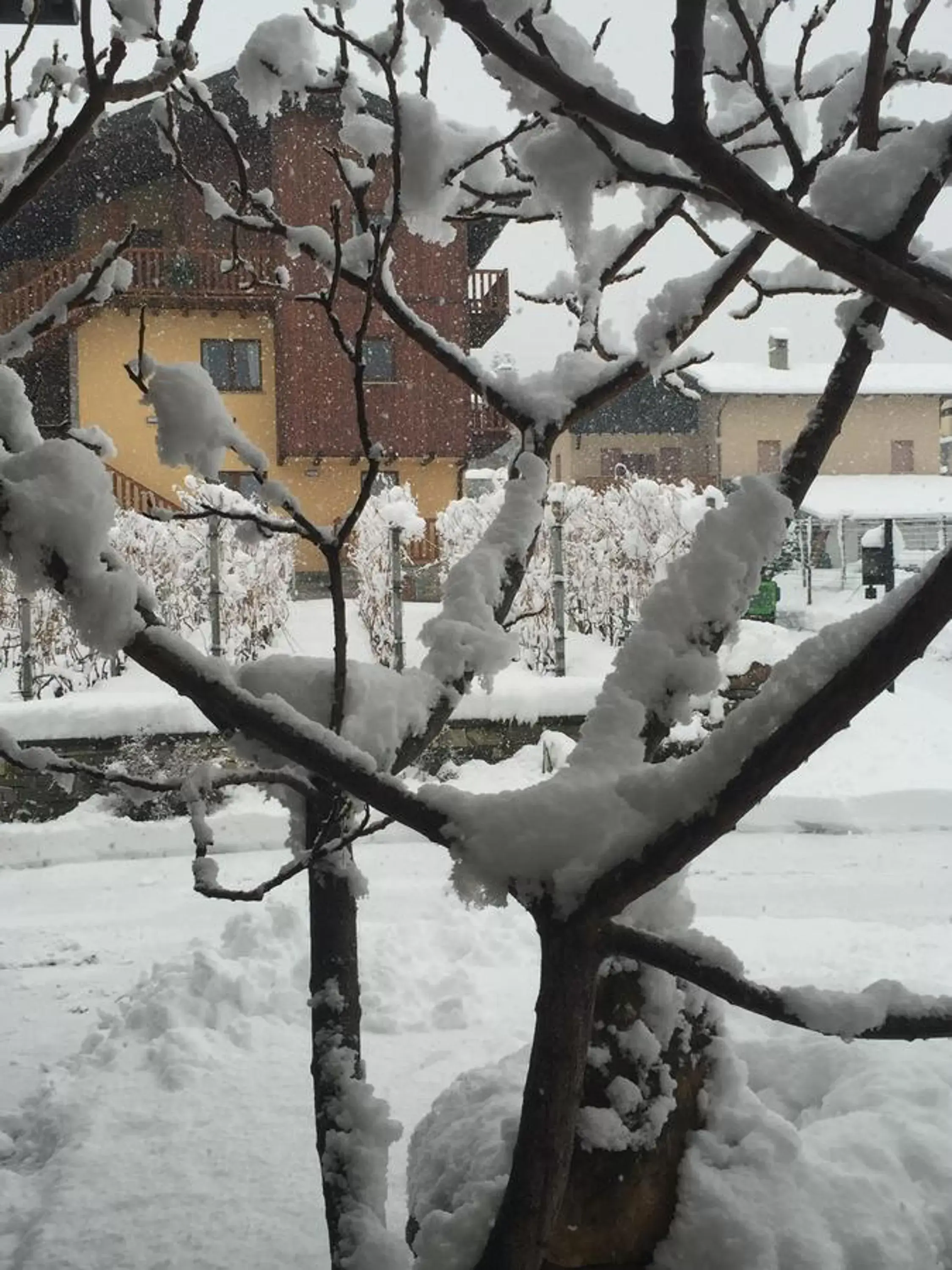 Property building, Winter in La Vigne de Papagran