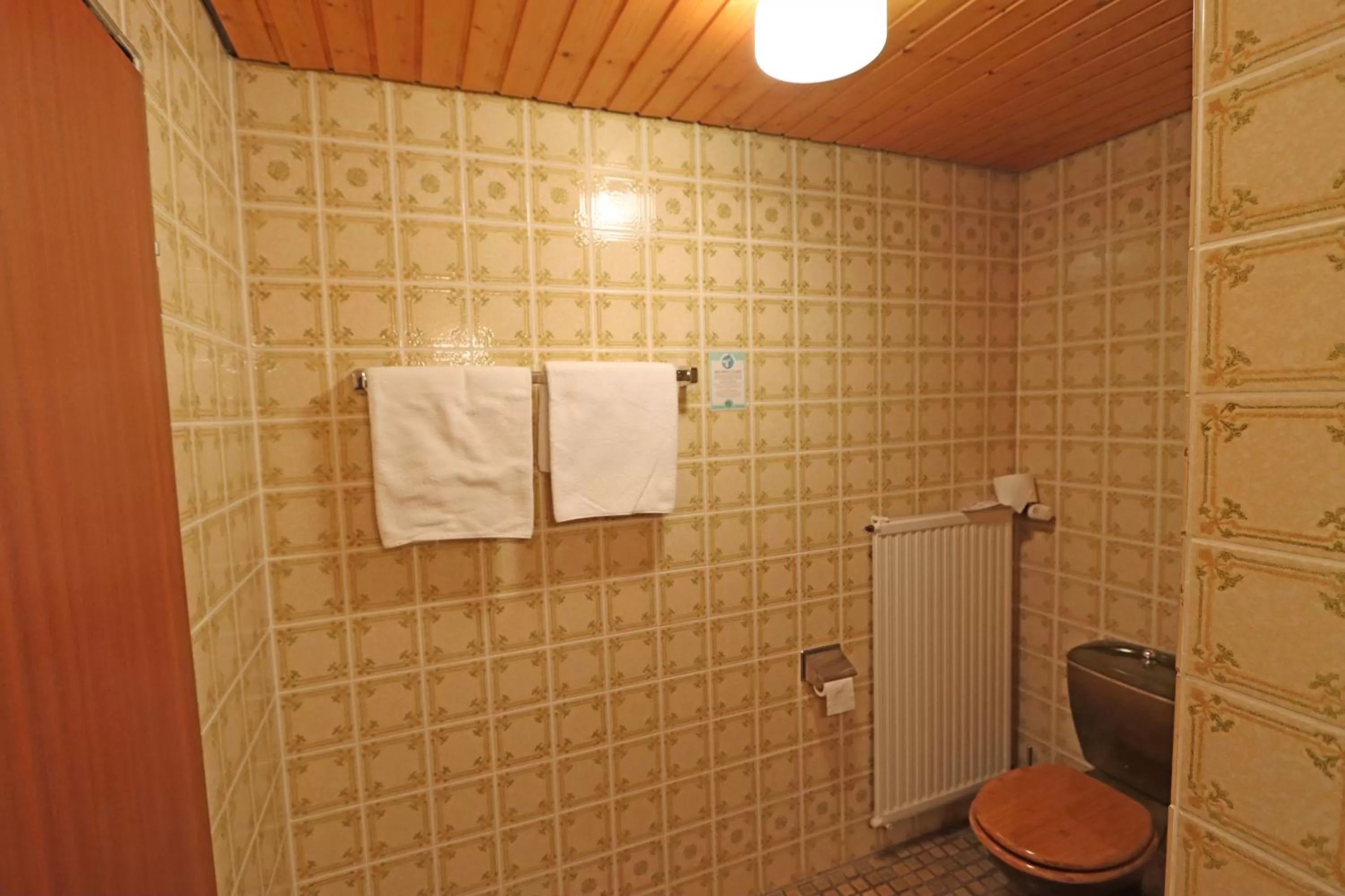 Shower in Hotel Kreuz Höhengasthof
