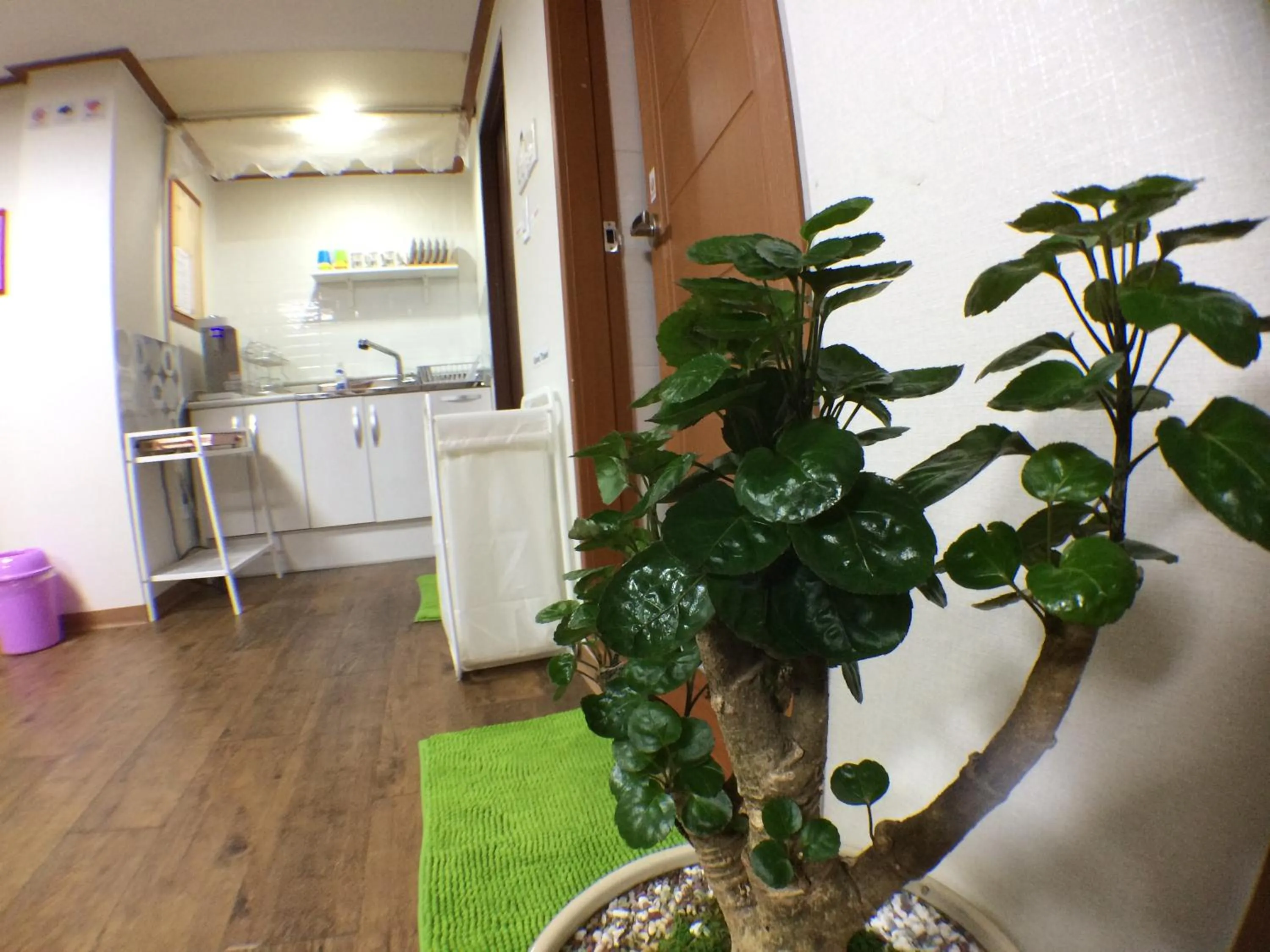 Kitchen or kitchenette in Jeong House