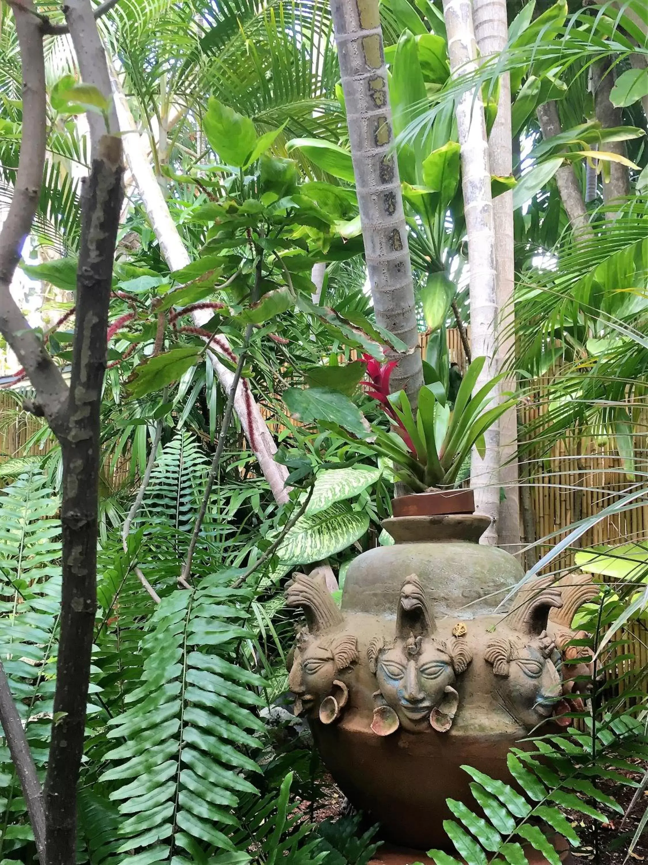 Garden, Other Animals in Douglas House