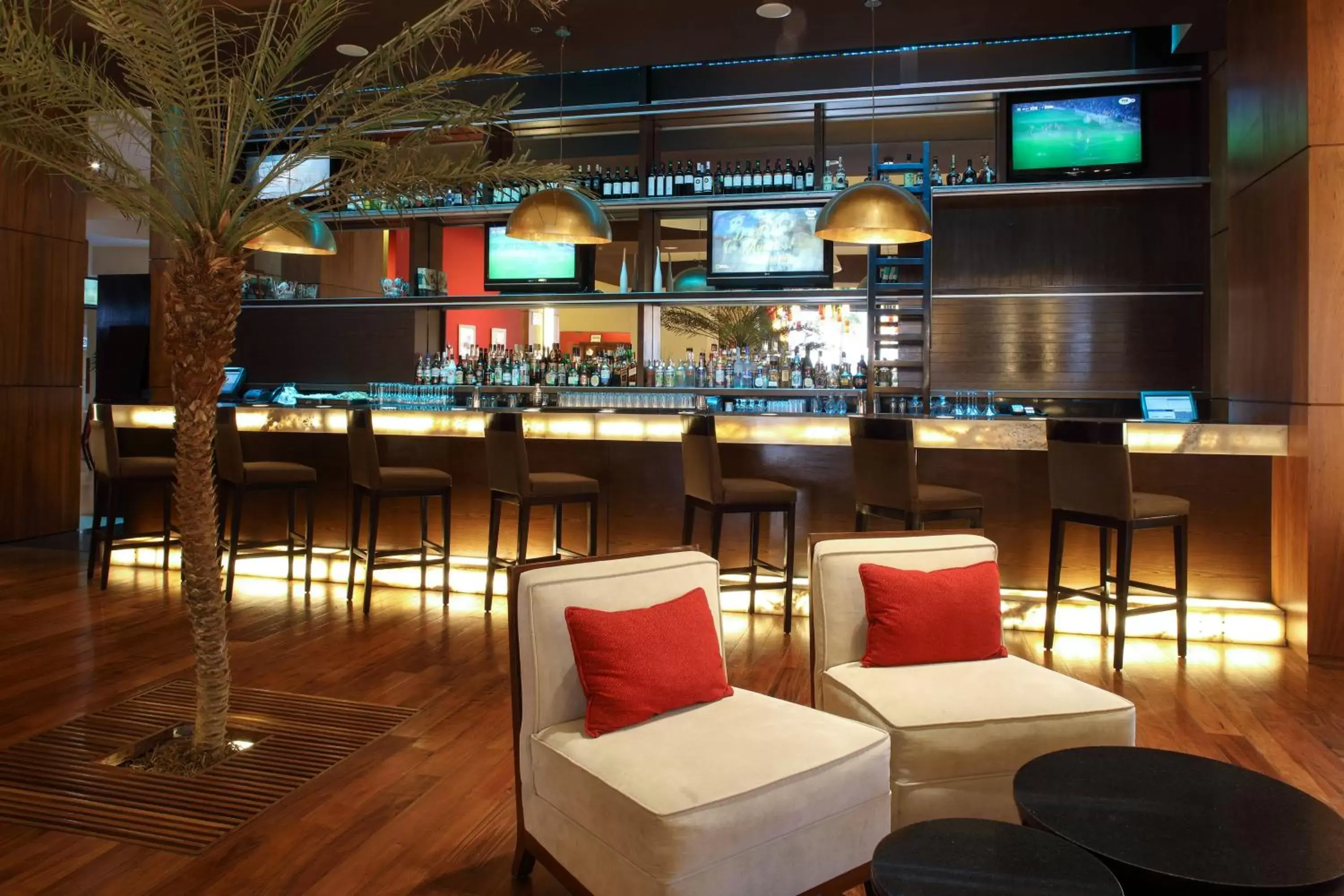 Lobby or reception, Lounge/Bar in Aguascalientes Marriott Hotel