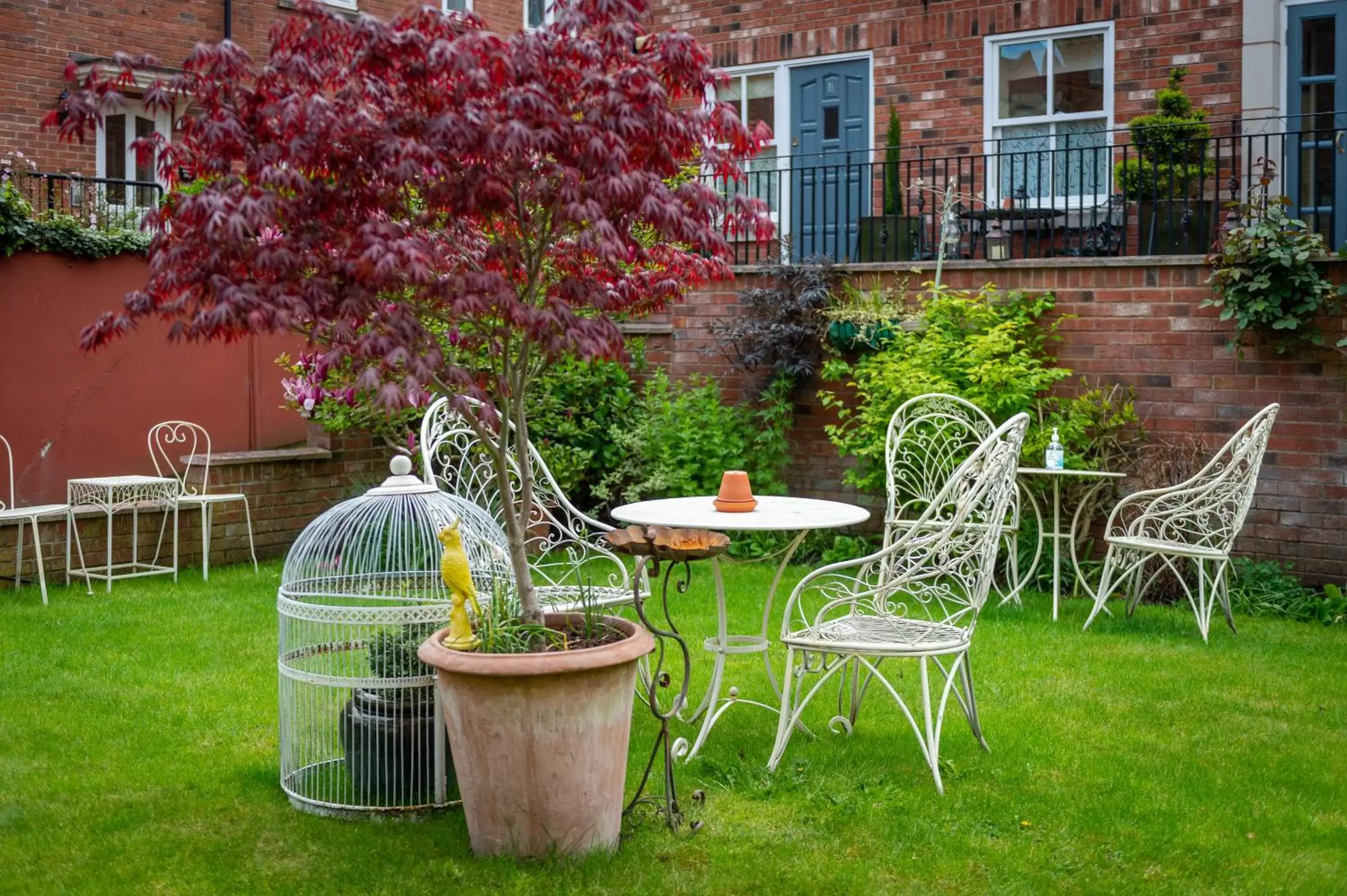 Garden in Darwin's Townhouse