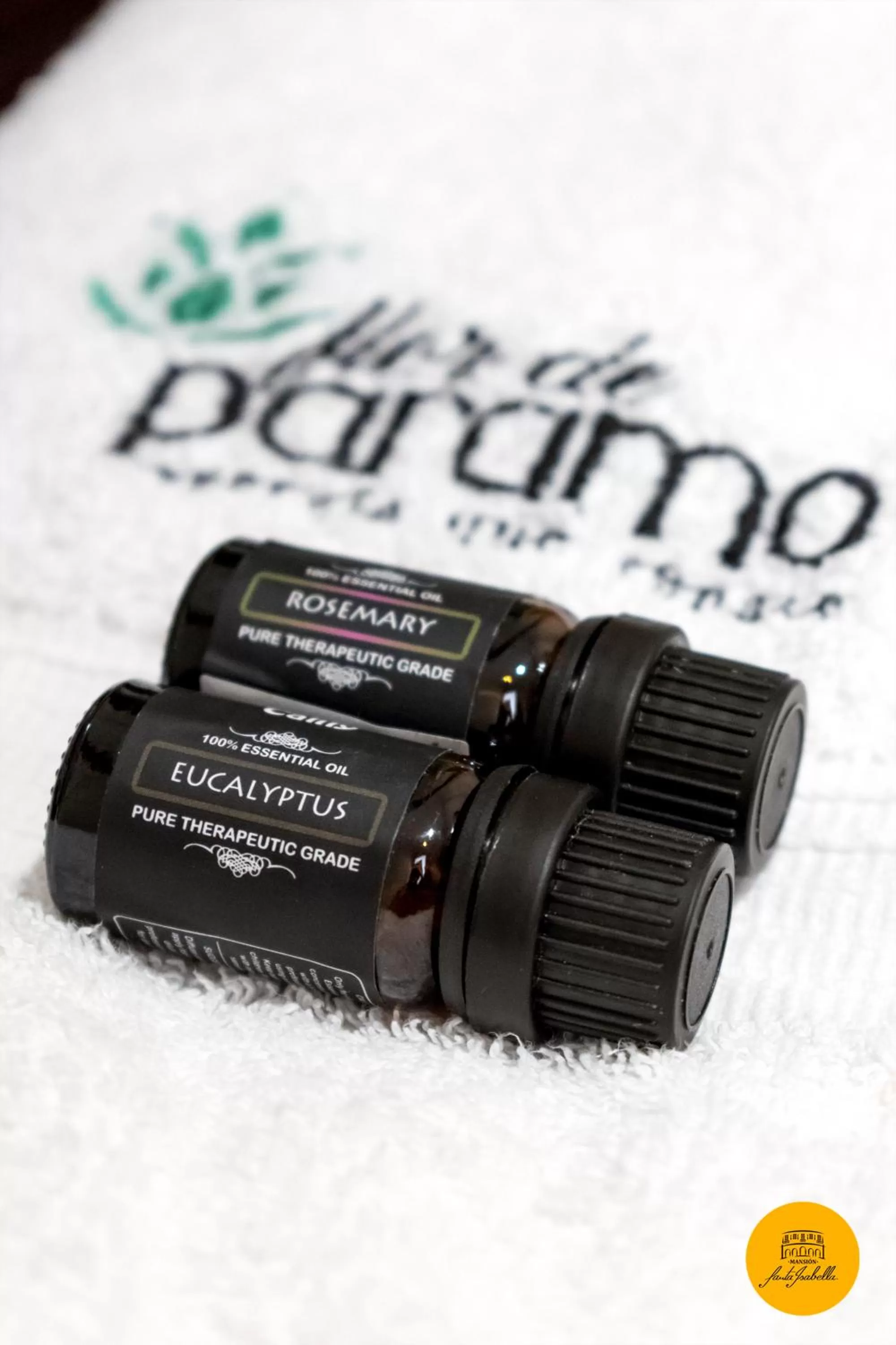 Spa and wellness centre/facilities in Hotel Spa Mansion Santa Isabella