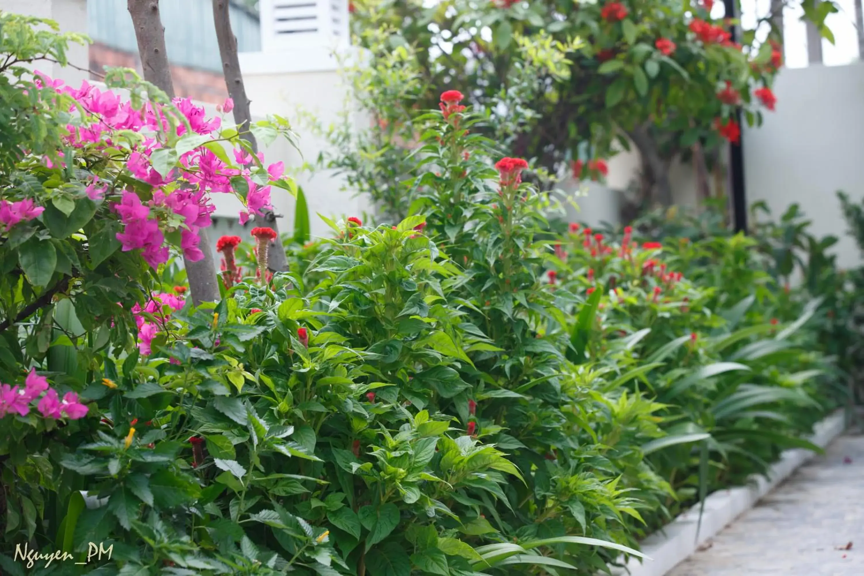 Garden in Gia Lam Villa Hoi An