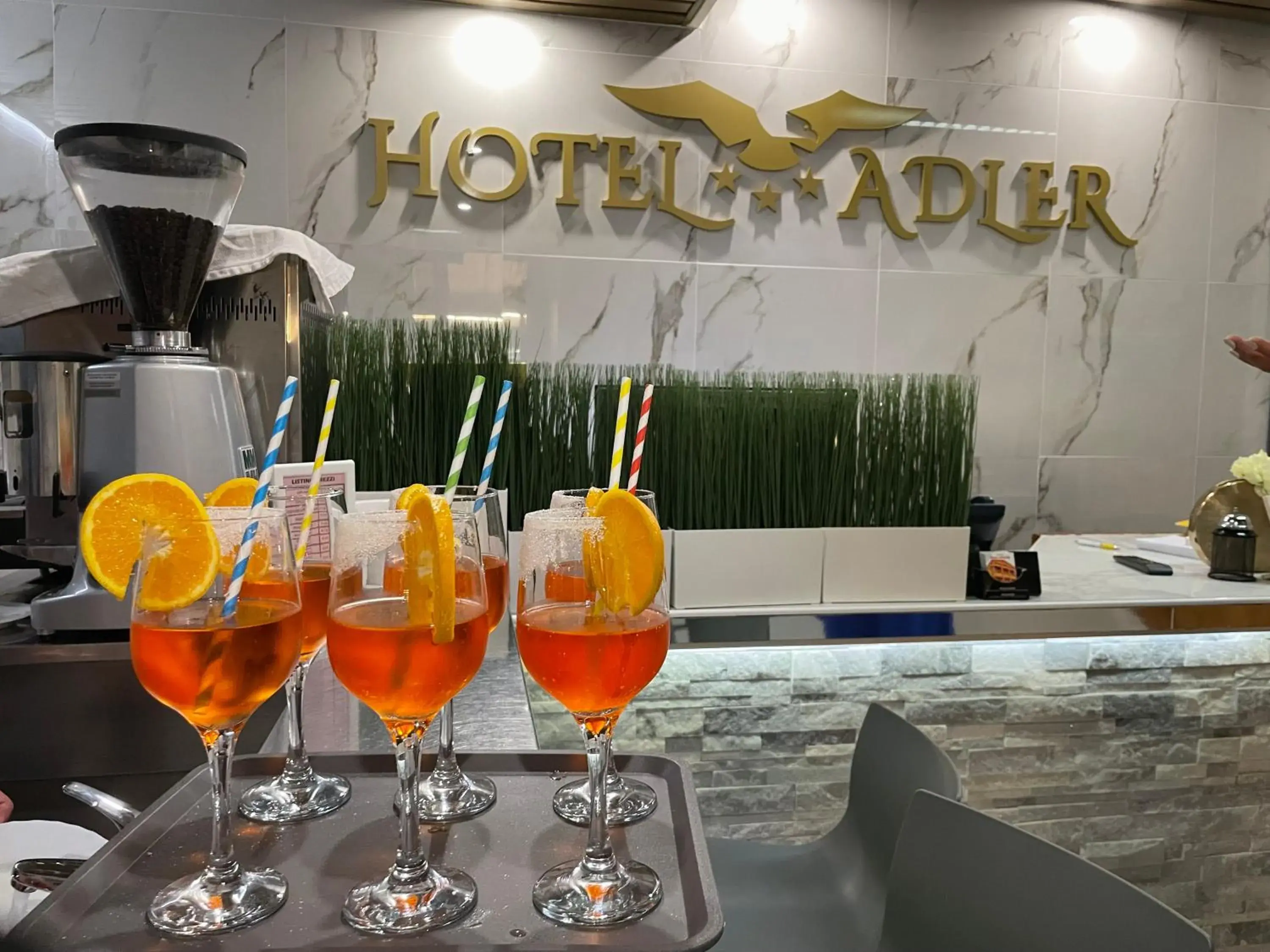 Lounge or bar in Hotel Adler