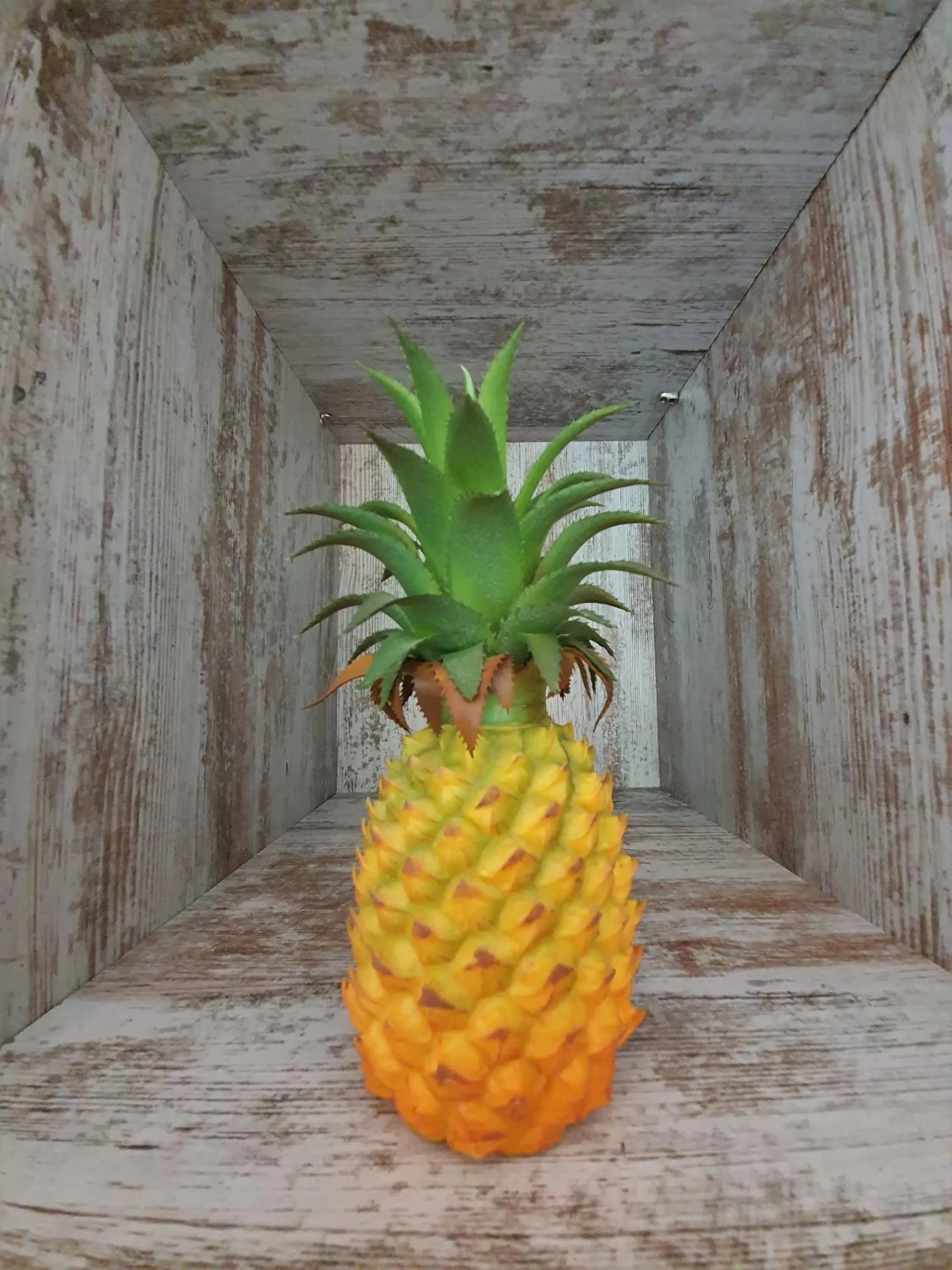 Other in DreamKeys Barcelona City