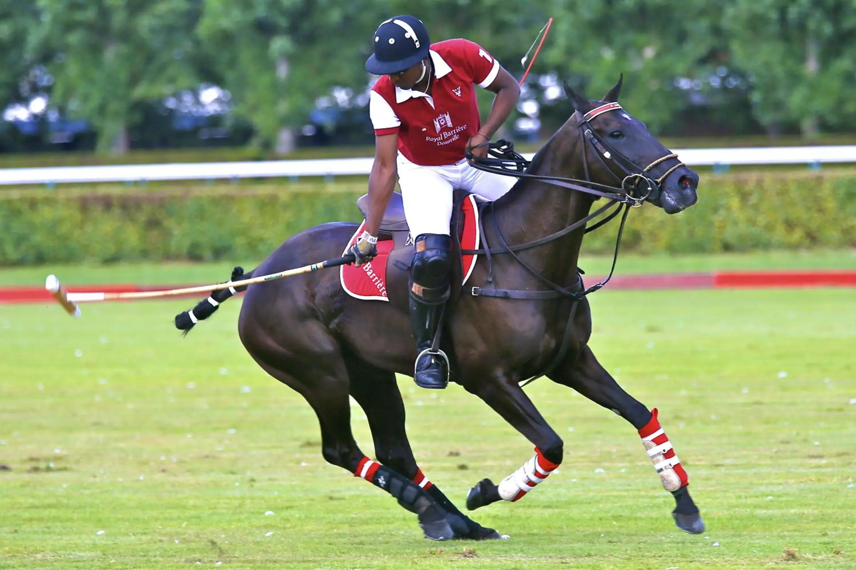 Other, Horseback Riding in Hotel Barriere Le Royal Deauville