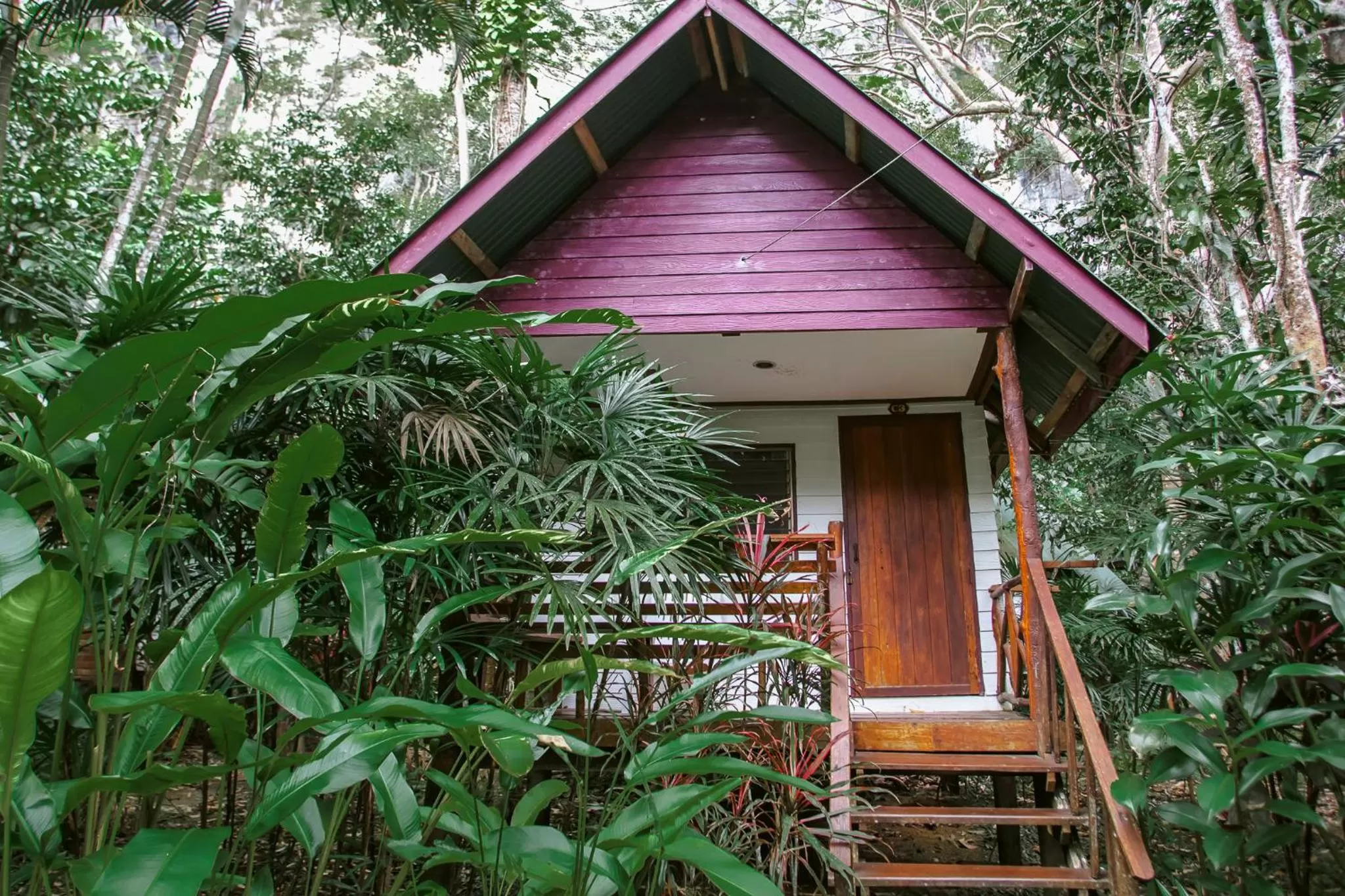 Property Building in Aonang Cliff View Resort SHA Extra Plus