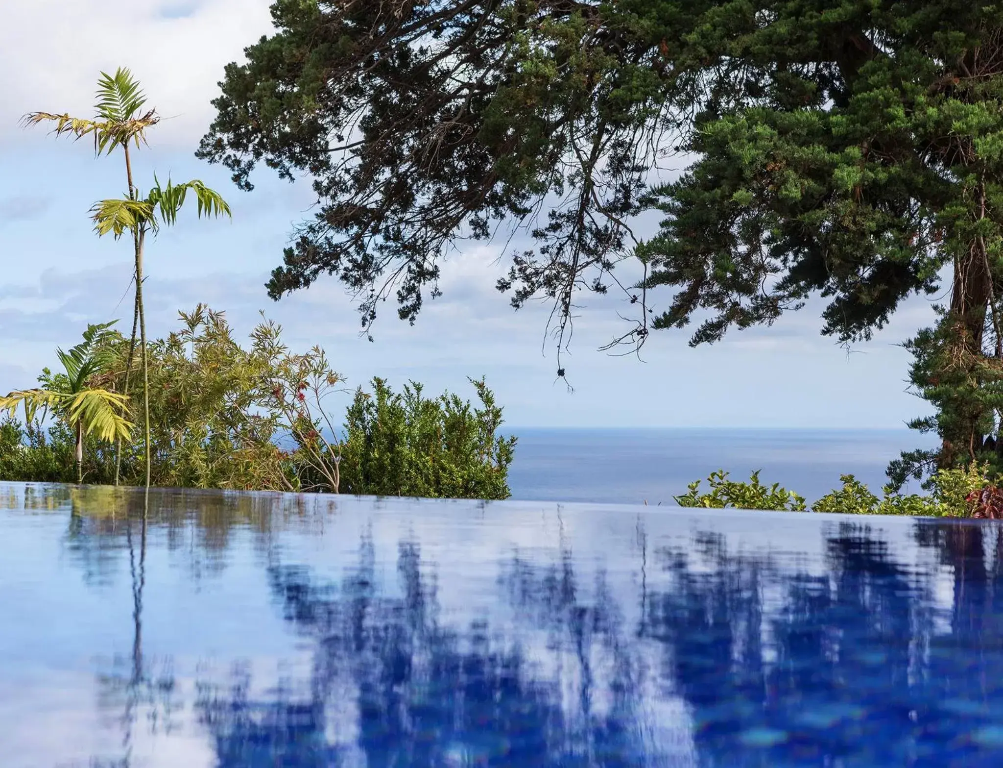 Sea view, Swimming Pool in Dom Pedro Garajau