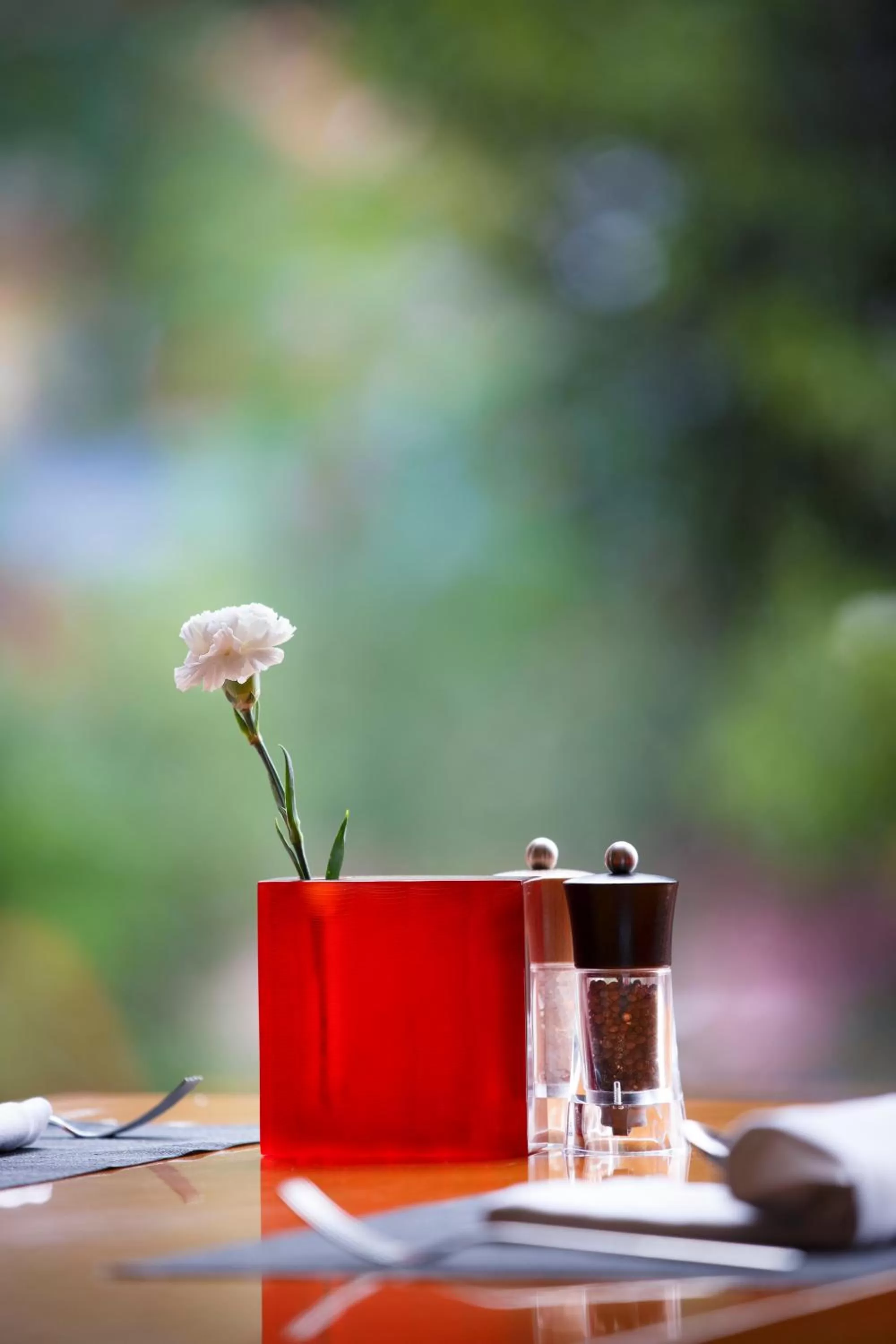 Restaurant/places to eat in Royal Singi Hotel