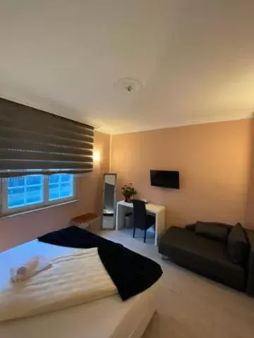 Double Room with Shared Bathroom - Annex in Hotel Sophia Double Room with Shared Bathroom - Annex in Hotel Sophia