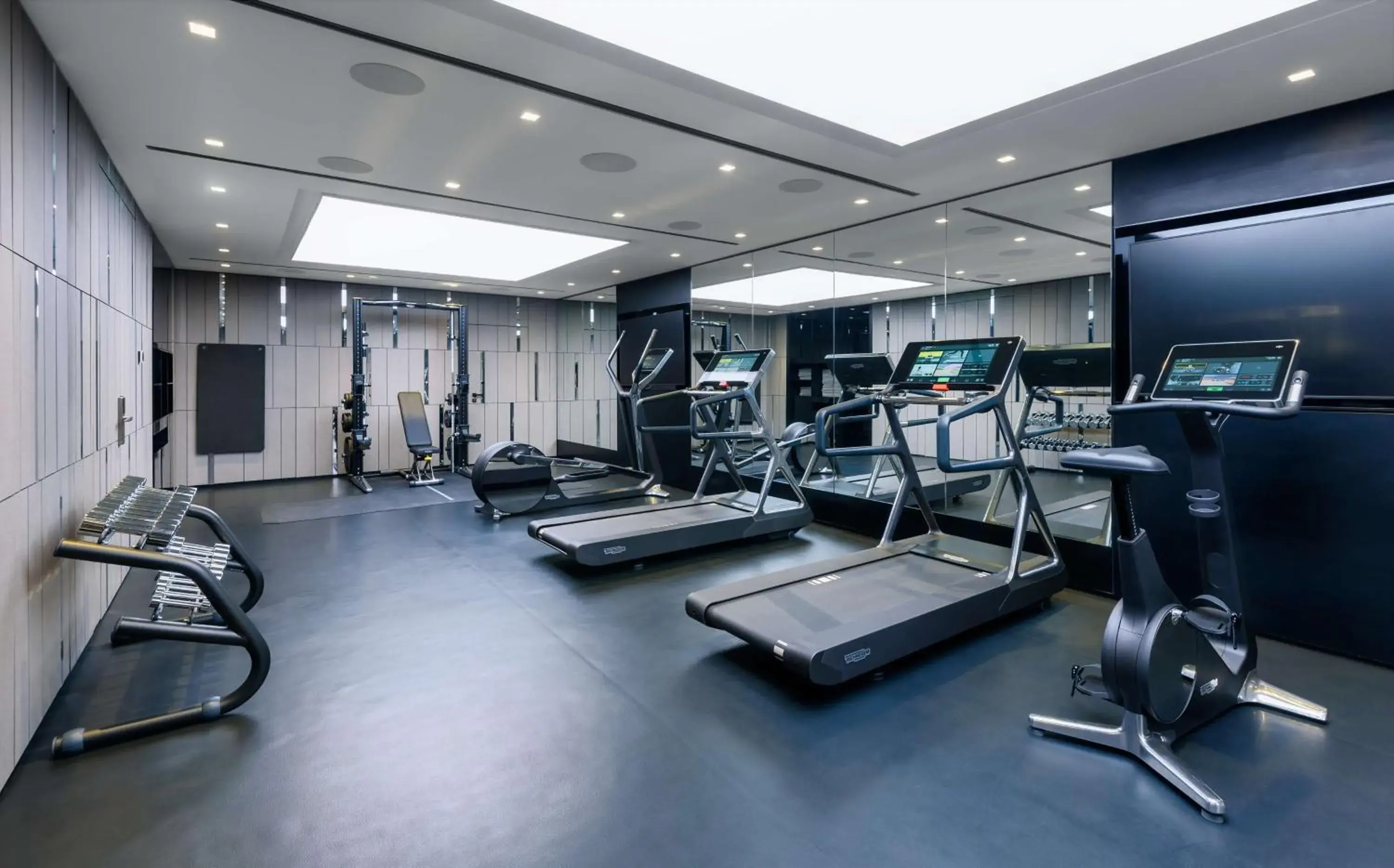 Fitness centre/facilities, Fitness Center/Facilities in Park Plaza Budapest