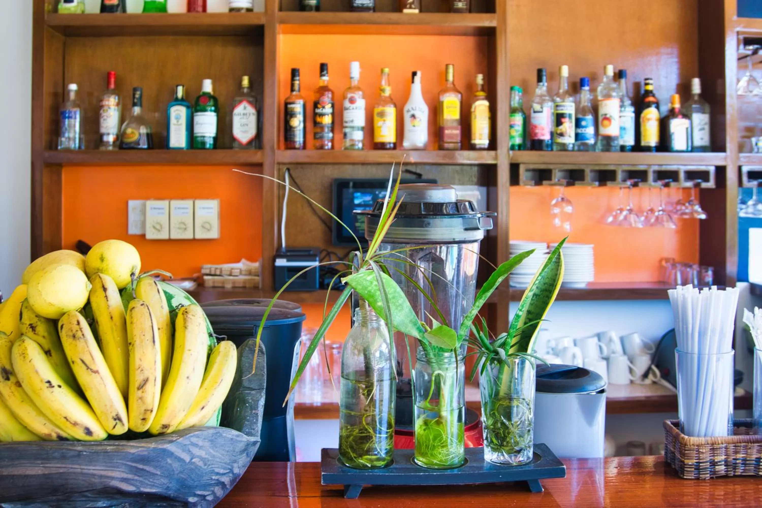 Lounge or bar in Villa Kasadya