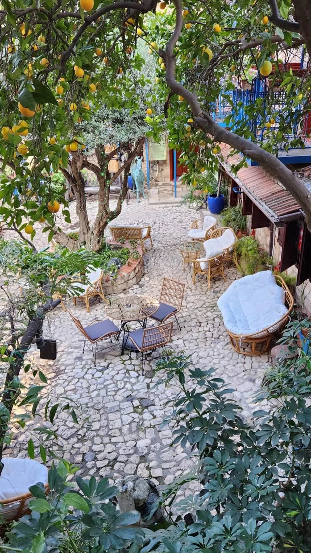 Garden view in וילה תהילה המחודש - The new Villa Tehila