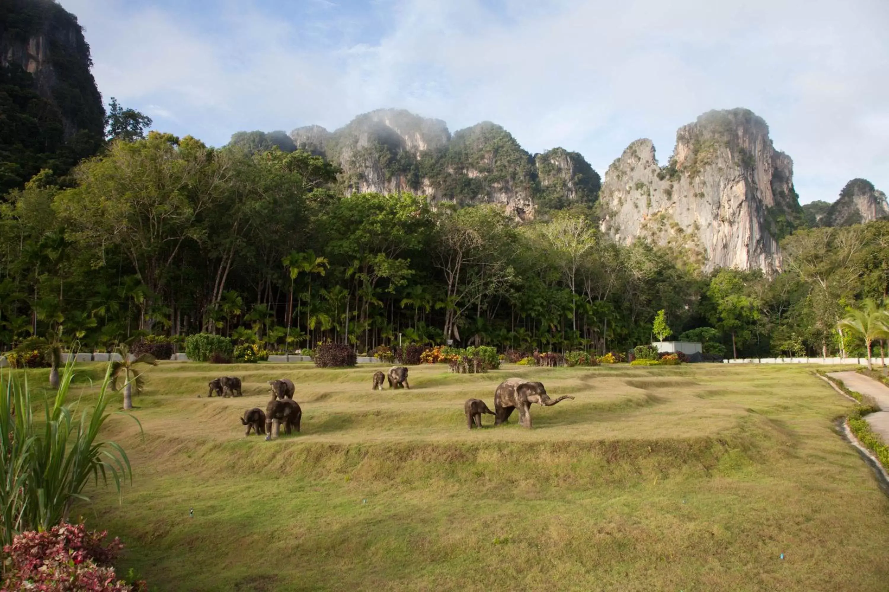 Garden in Arawan Krabi Beach Resort