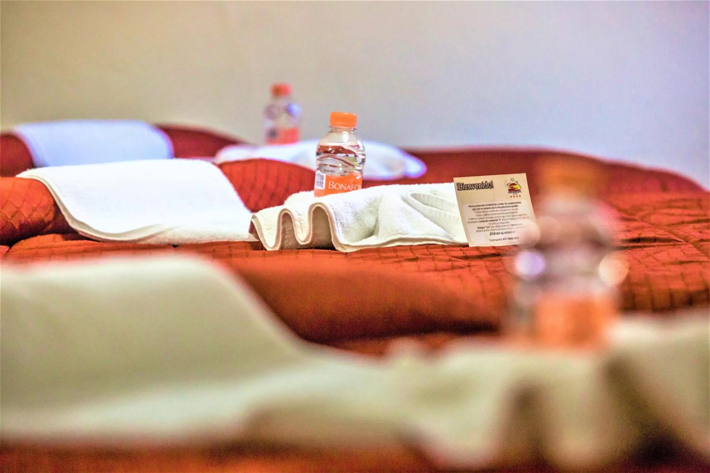 Decorative detail, Bed in Hotel Plaza Mirador