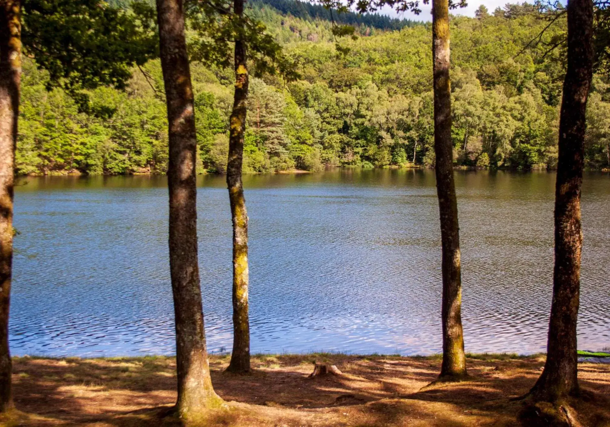 Natural landscape, Lake View in Vue sur la Vezere