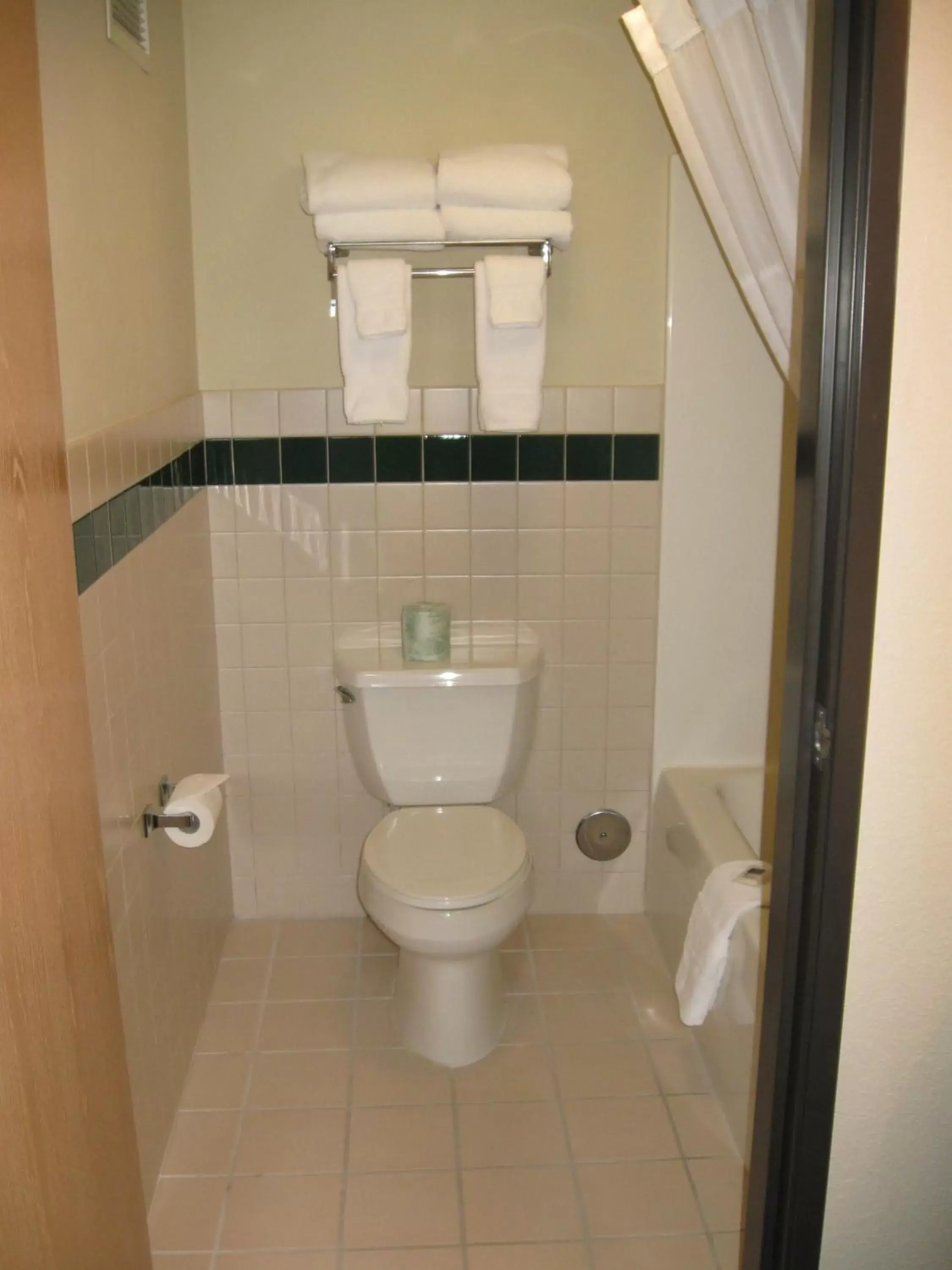 Toilet, Bathroom in AmericInn by Wyndham Oscoda Near AuSable River