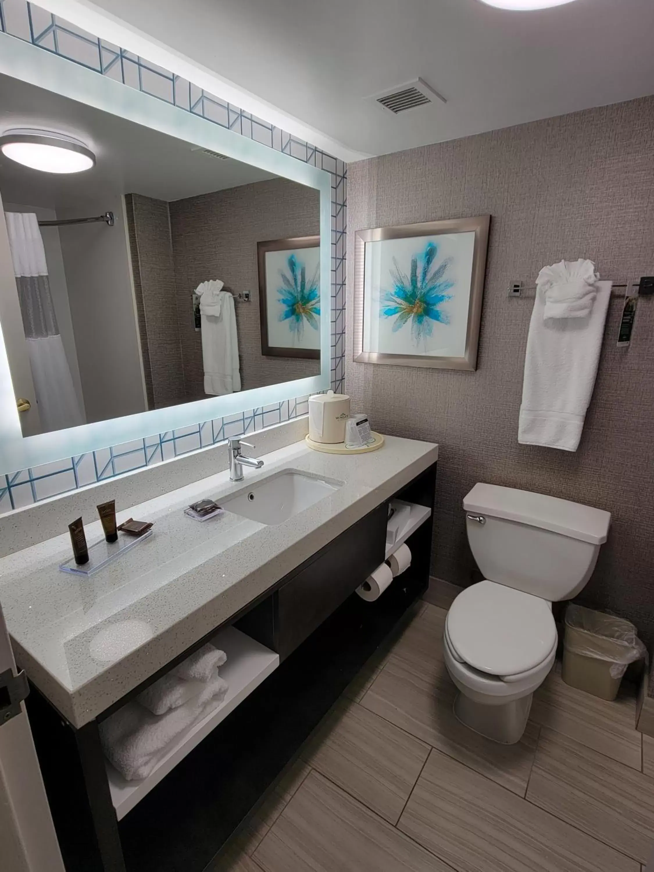 Bathroom in Wingate by Wyndham Greenville Airport