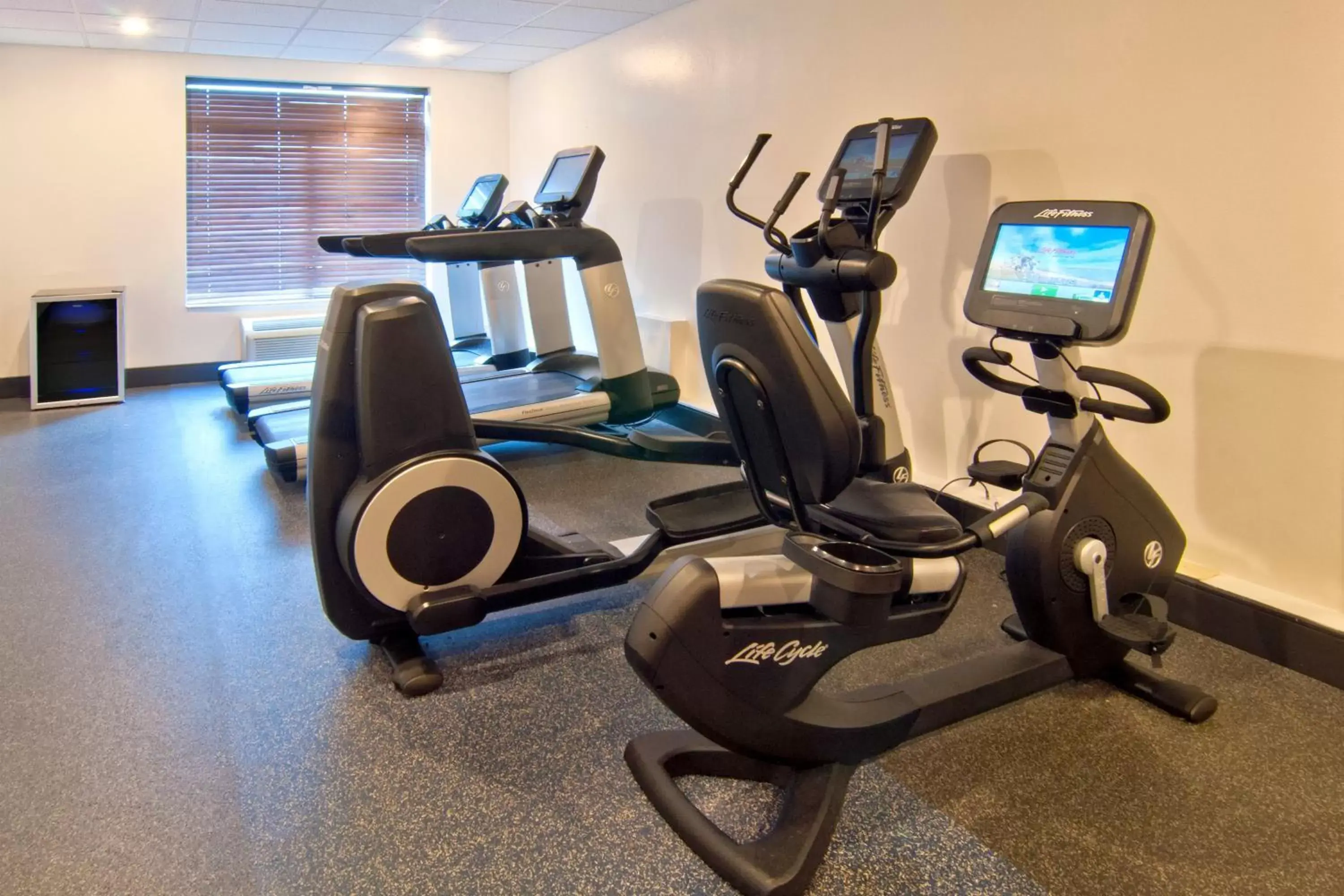 Fitness centre/facilities, Fitness Center/Facilities in Four Points by Sheraton Nashville Airport